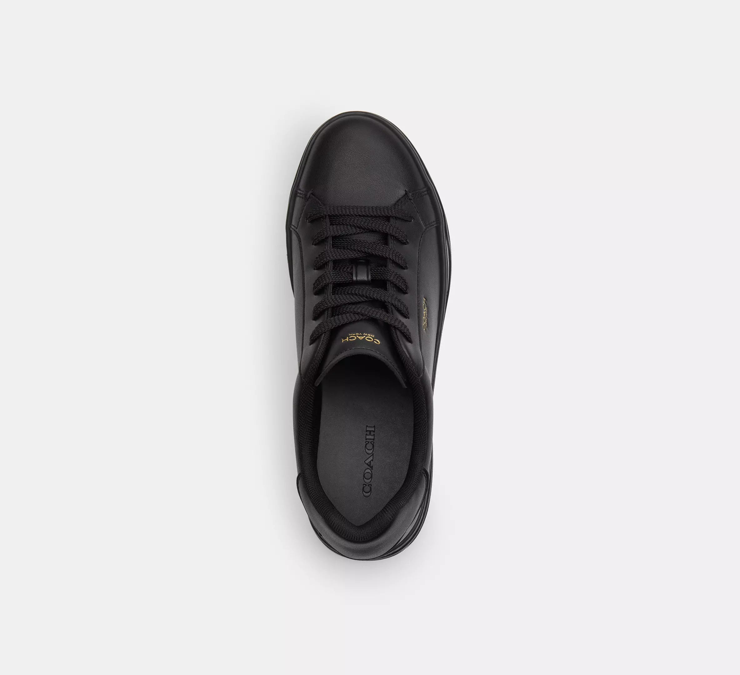 Black/Black