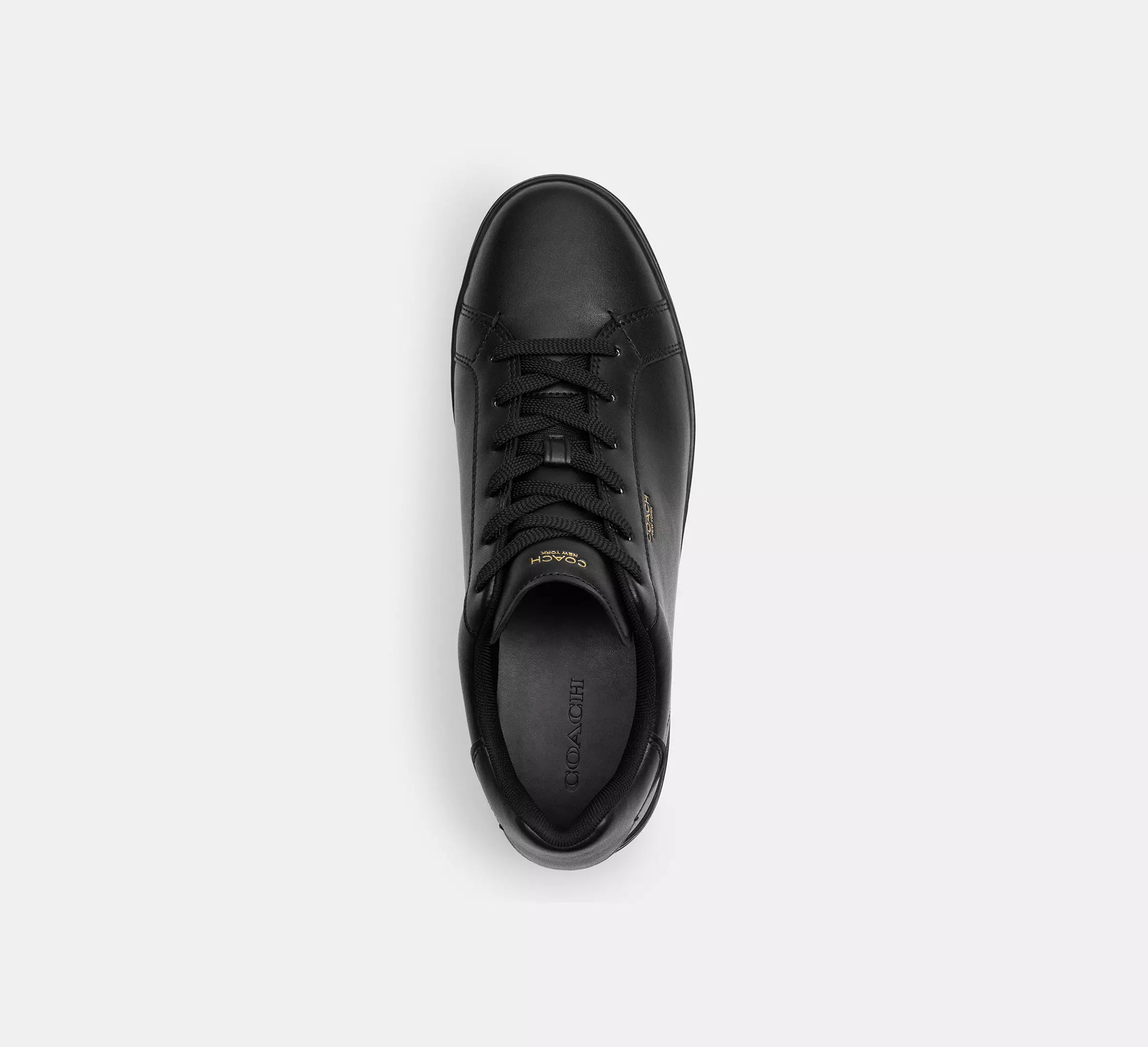 Black/Black