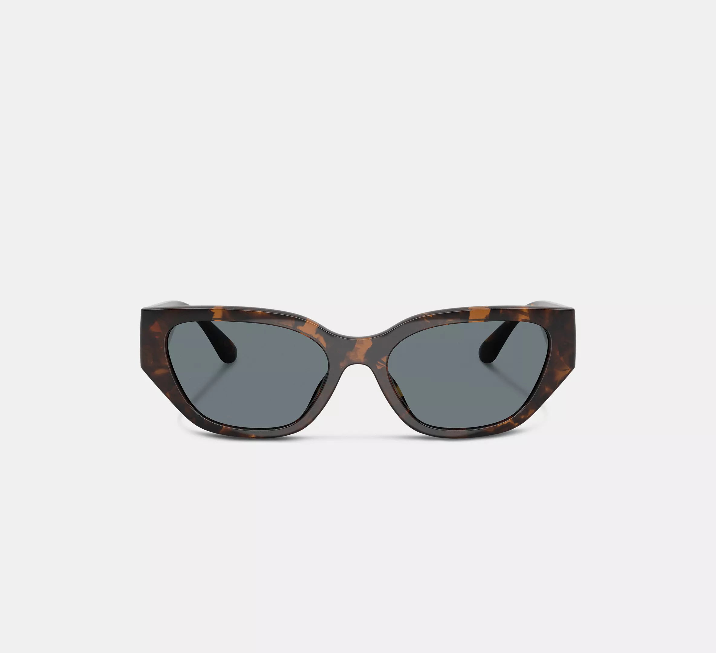 Dark Tortoise
