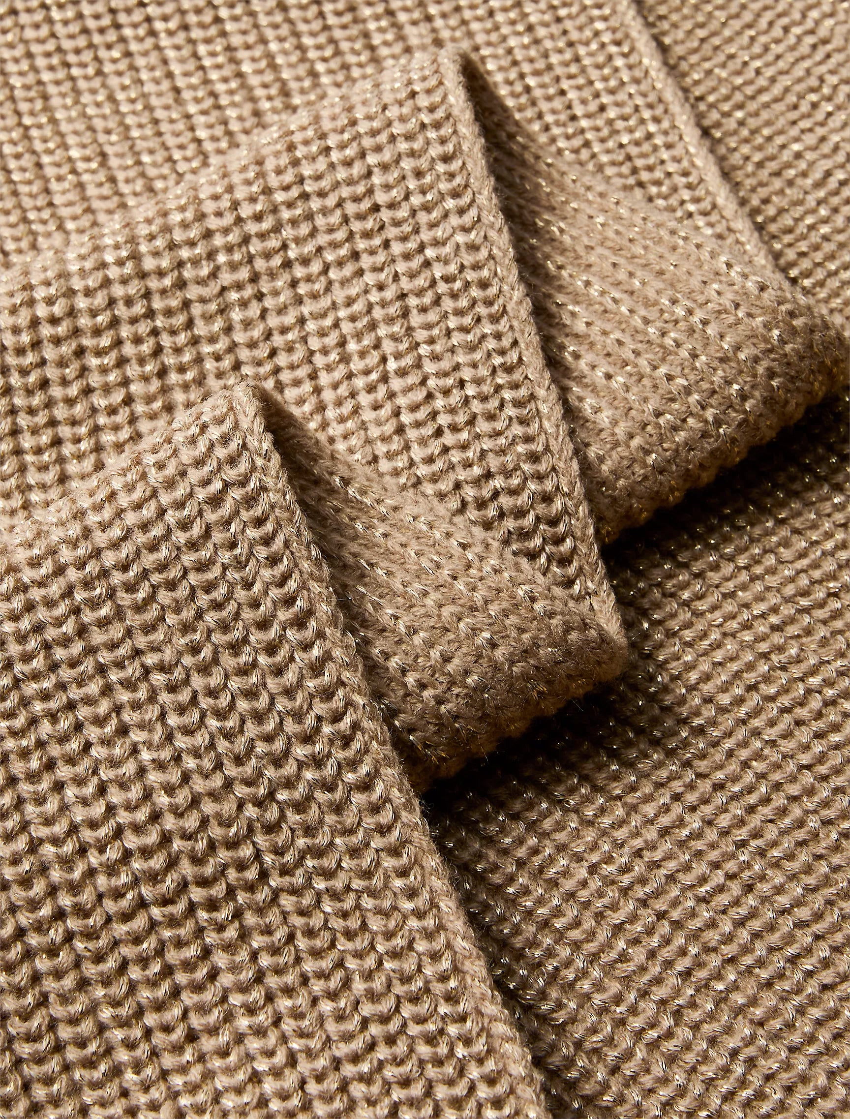 Timeless Camel