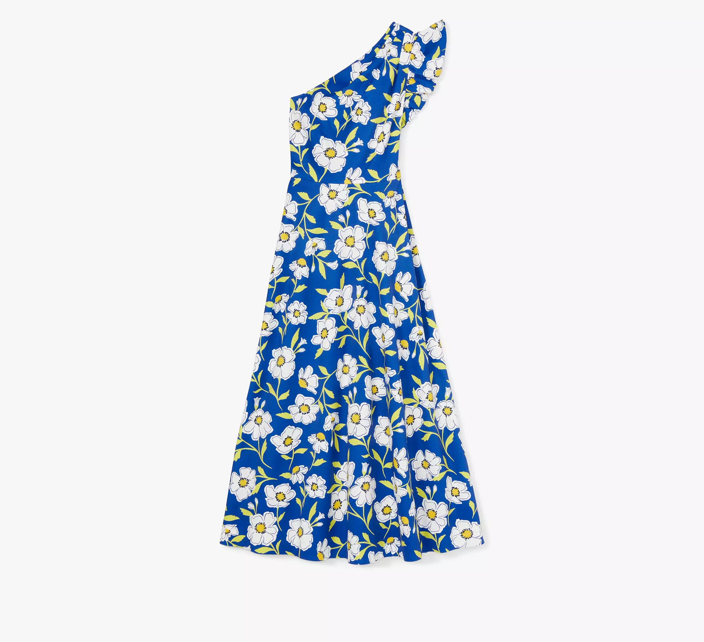 Wild Blue Iris