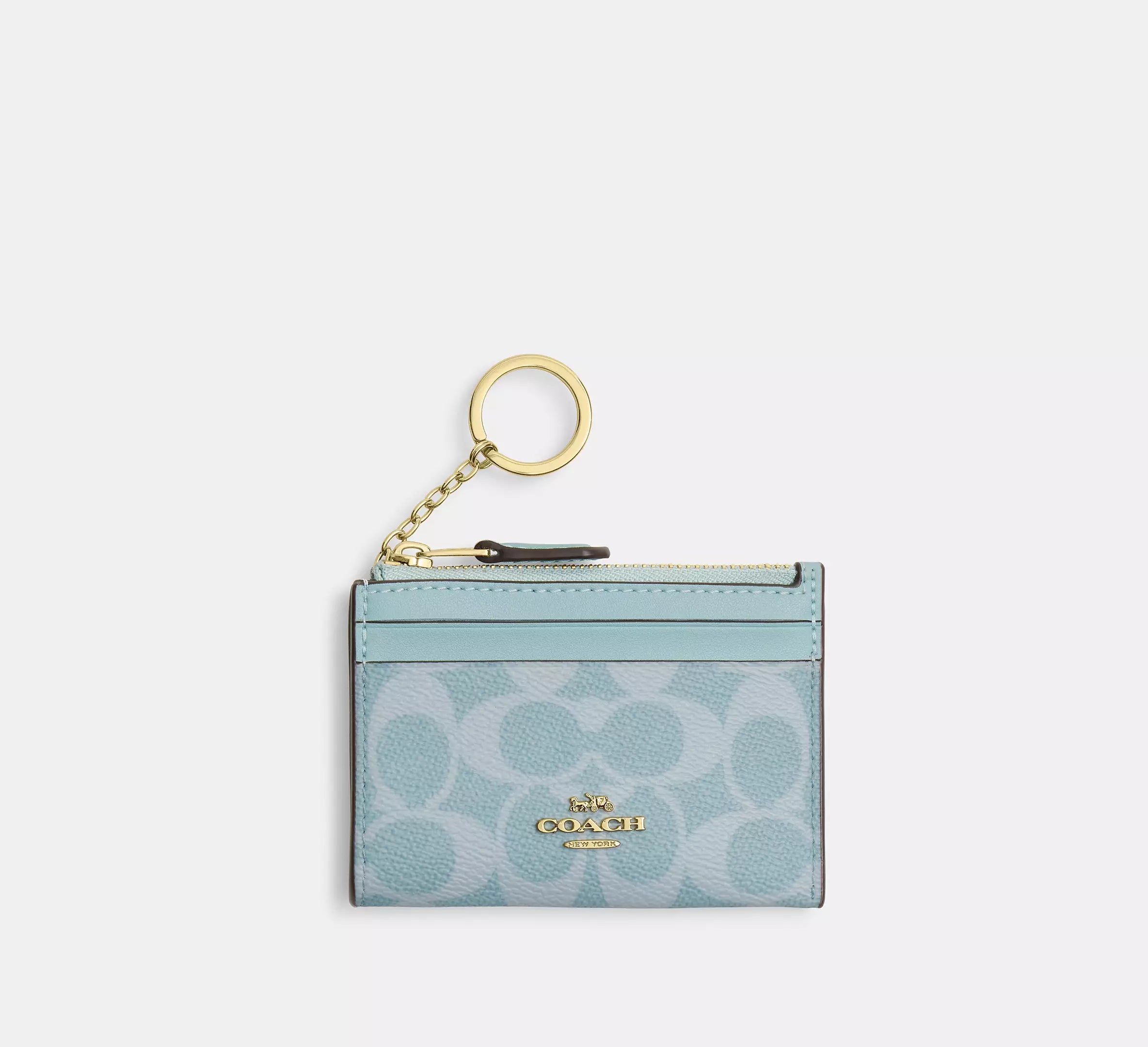 Gold/Light Blue