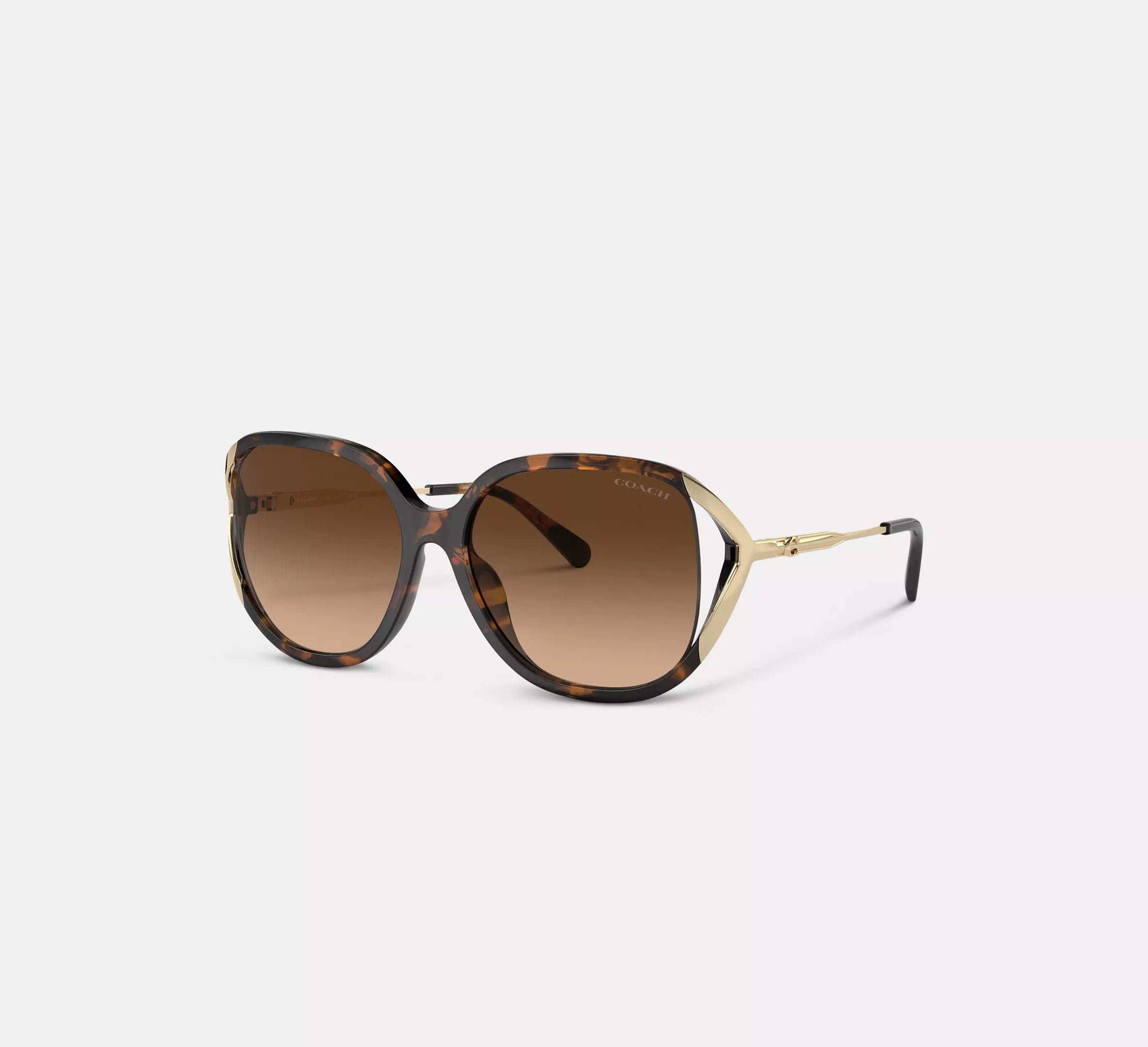 Dark Tortoise/Gold