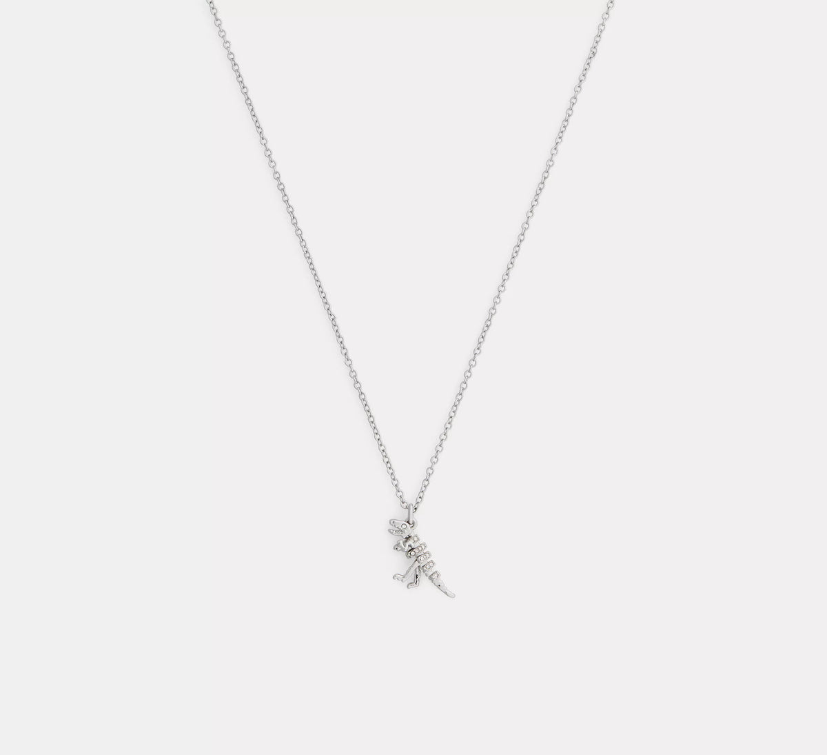 Silver/Clear