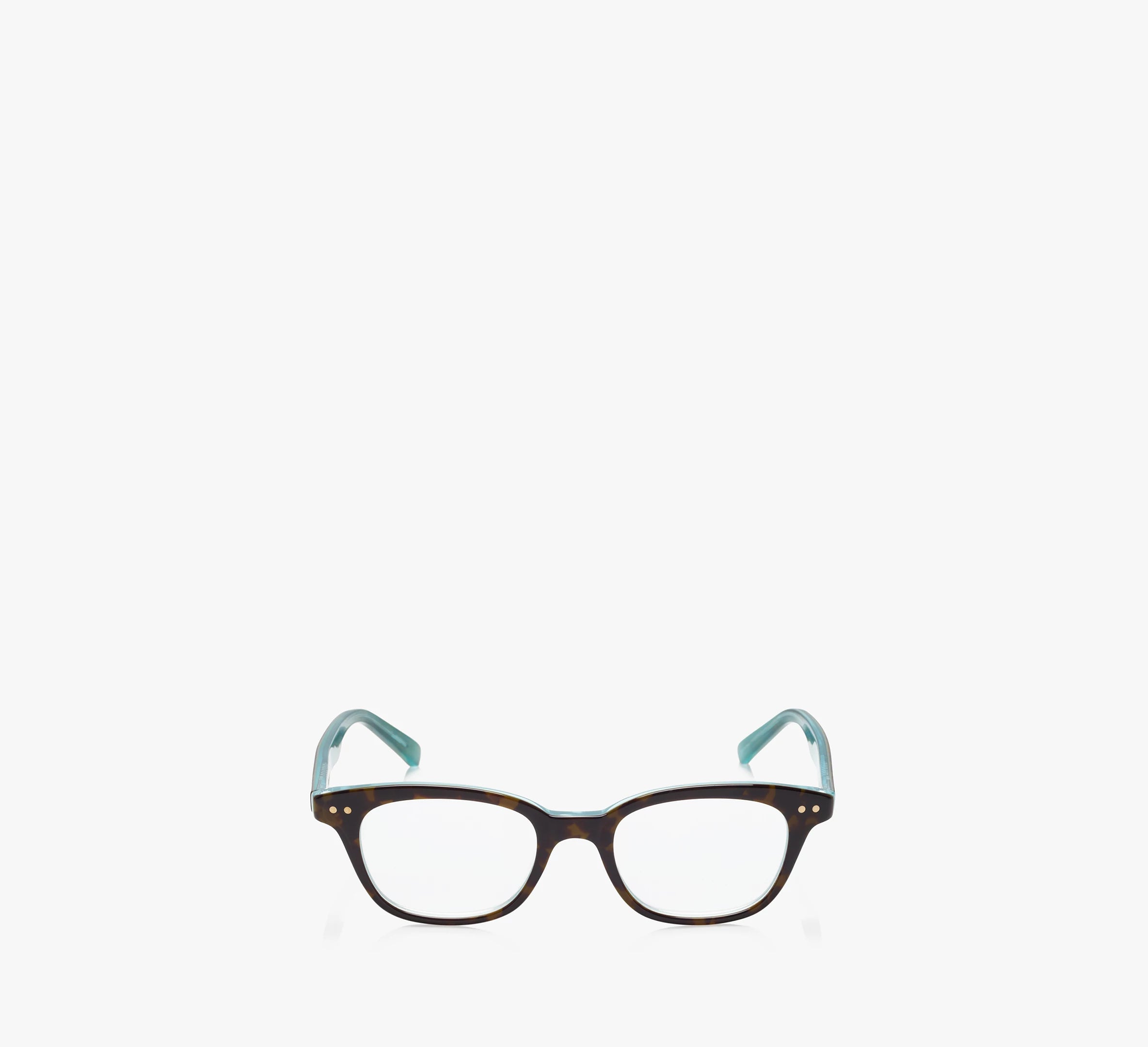 Aqua Tortoise
