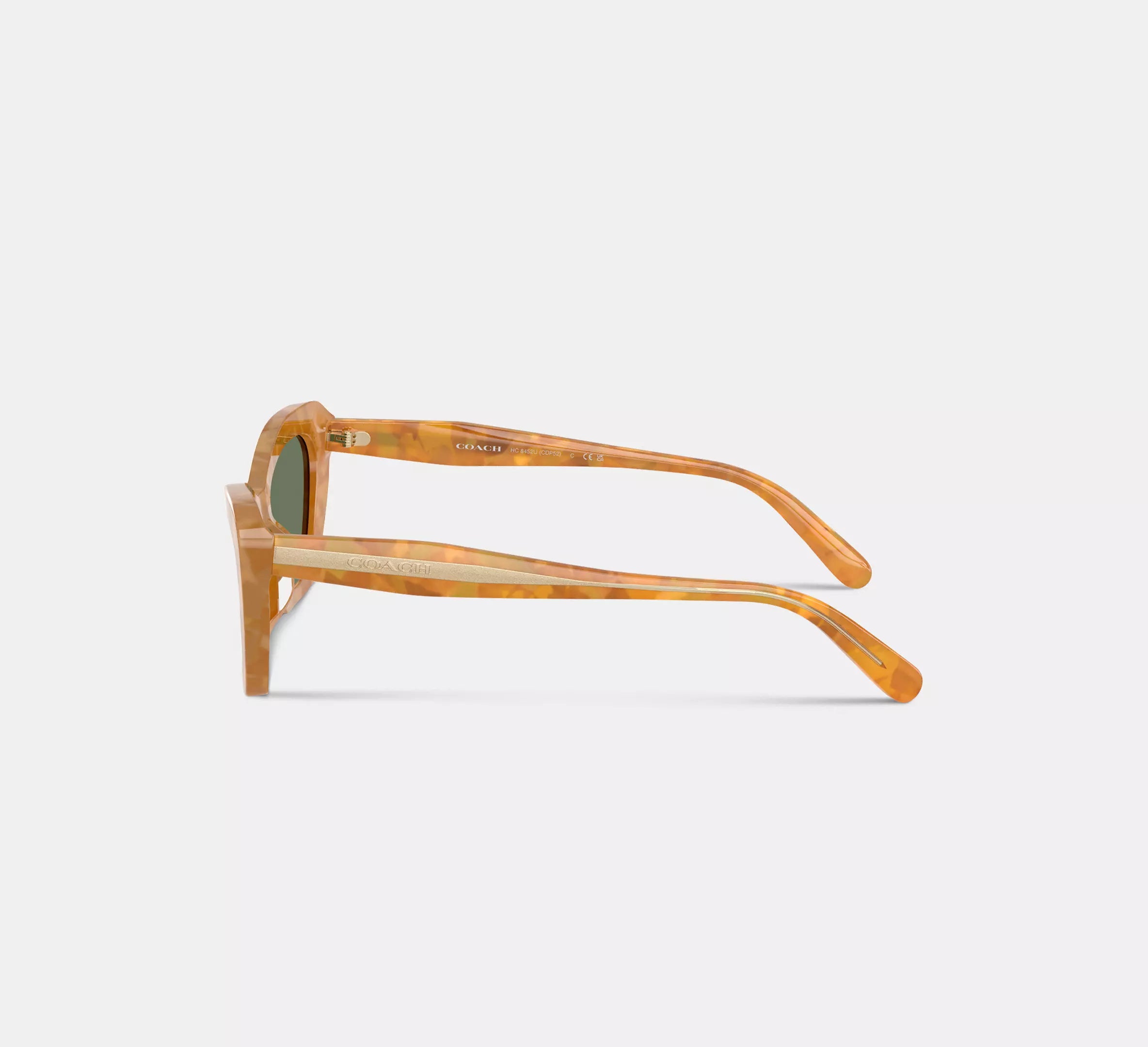 Blonde Tortoise