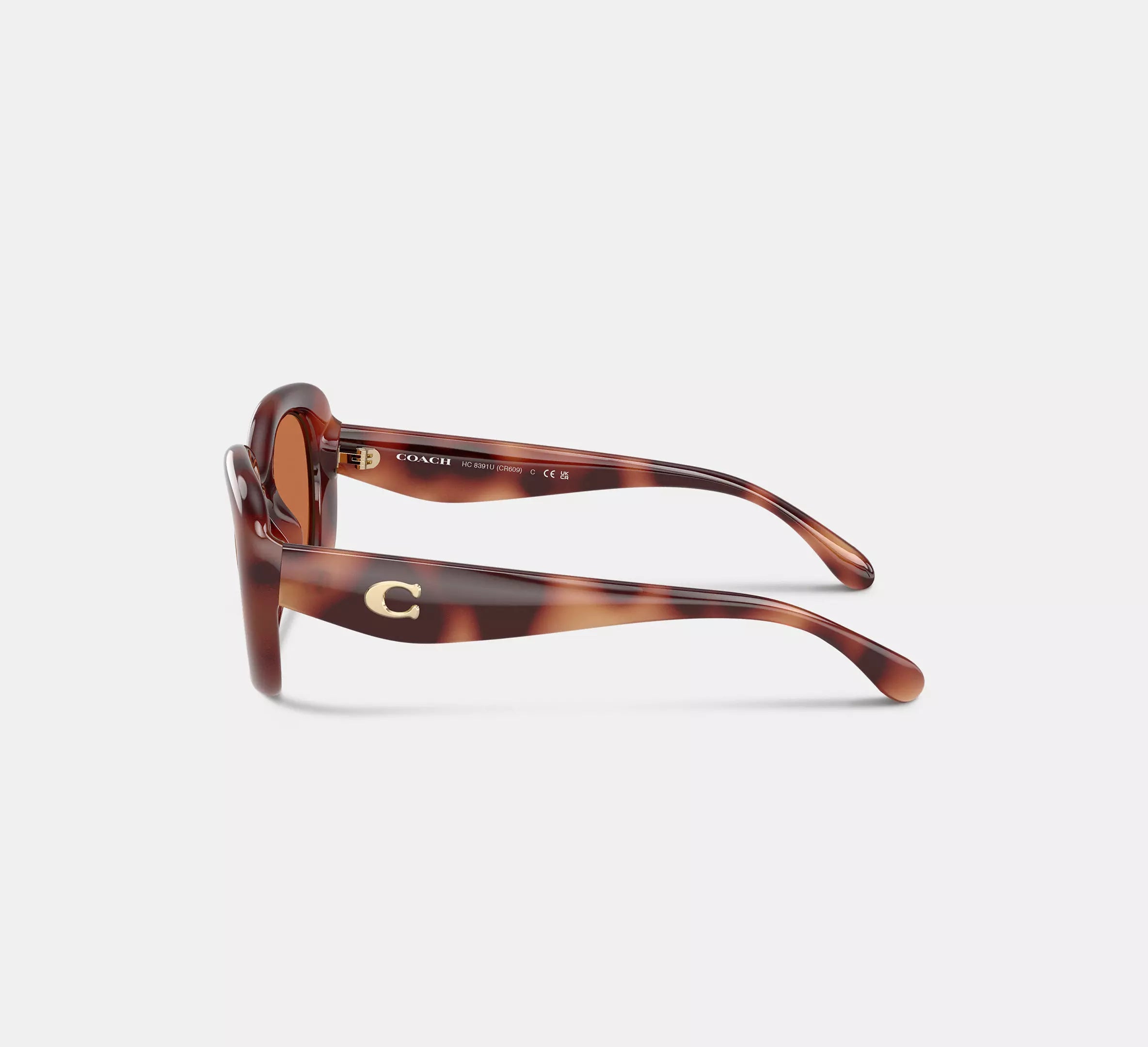 Tortoise Brown