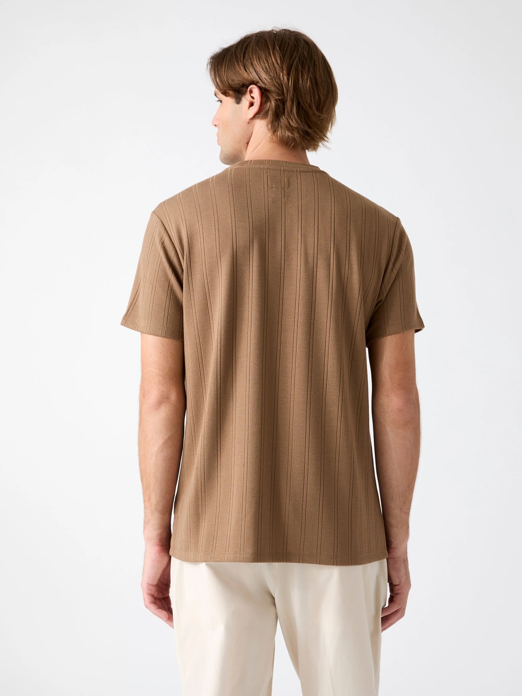 Brown Shitake