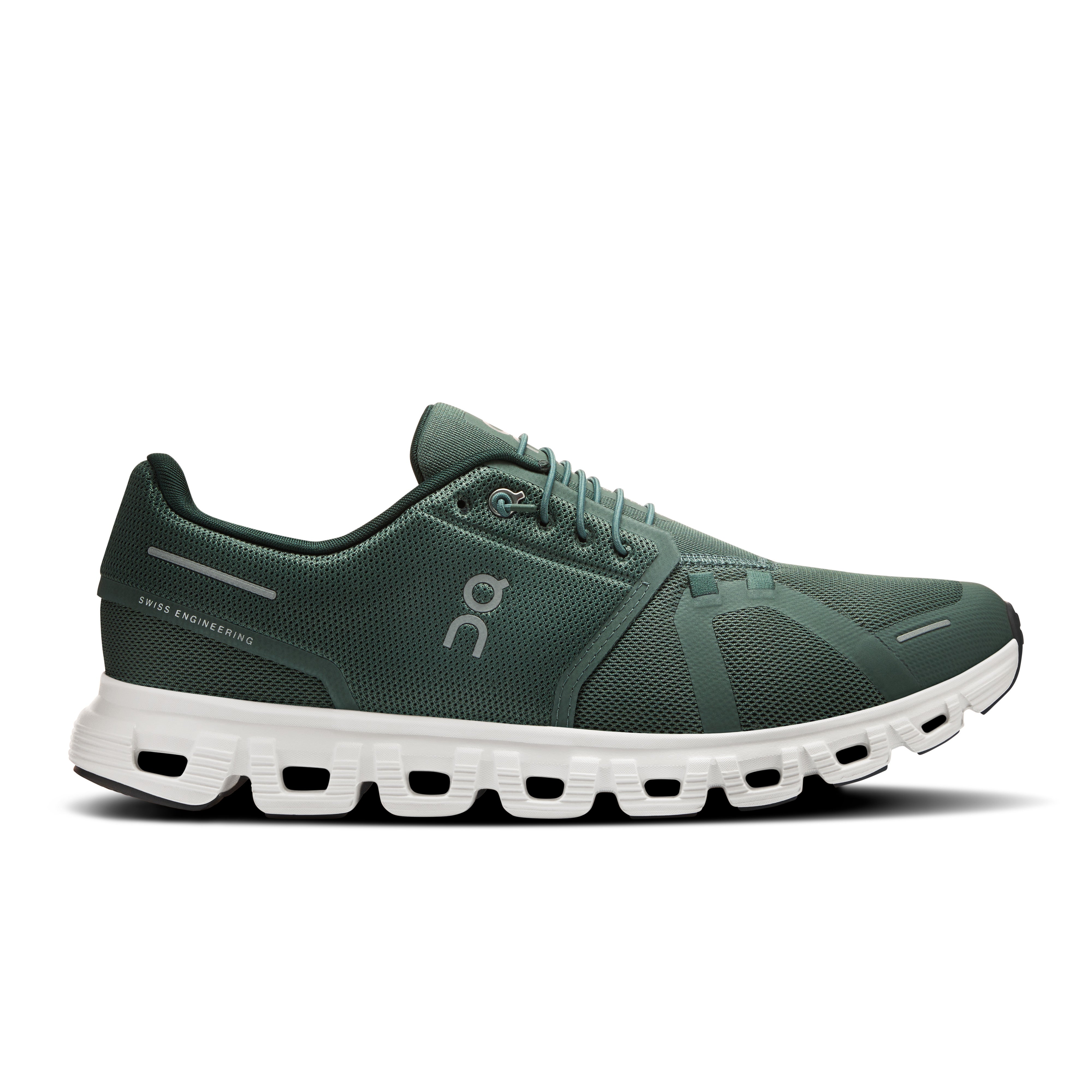Olive | Evergreen