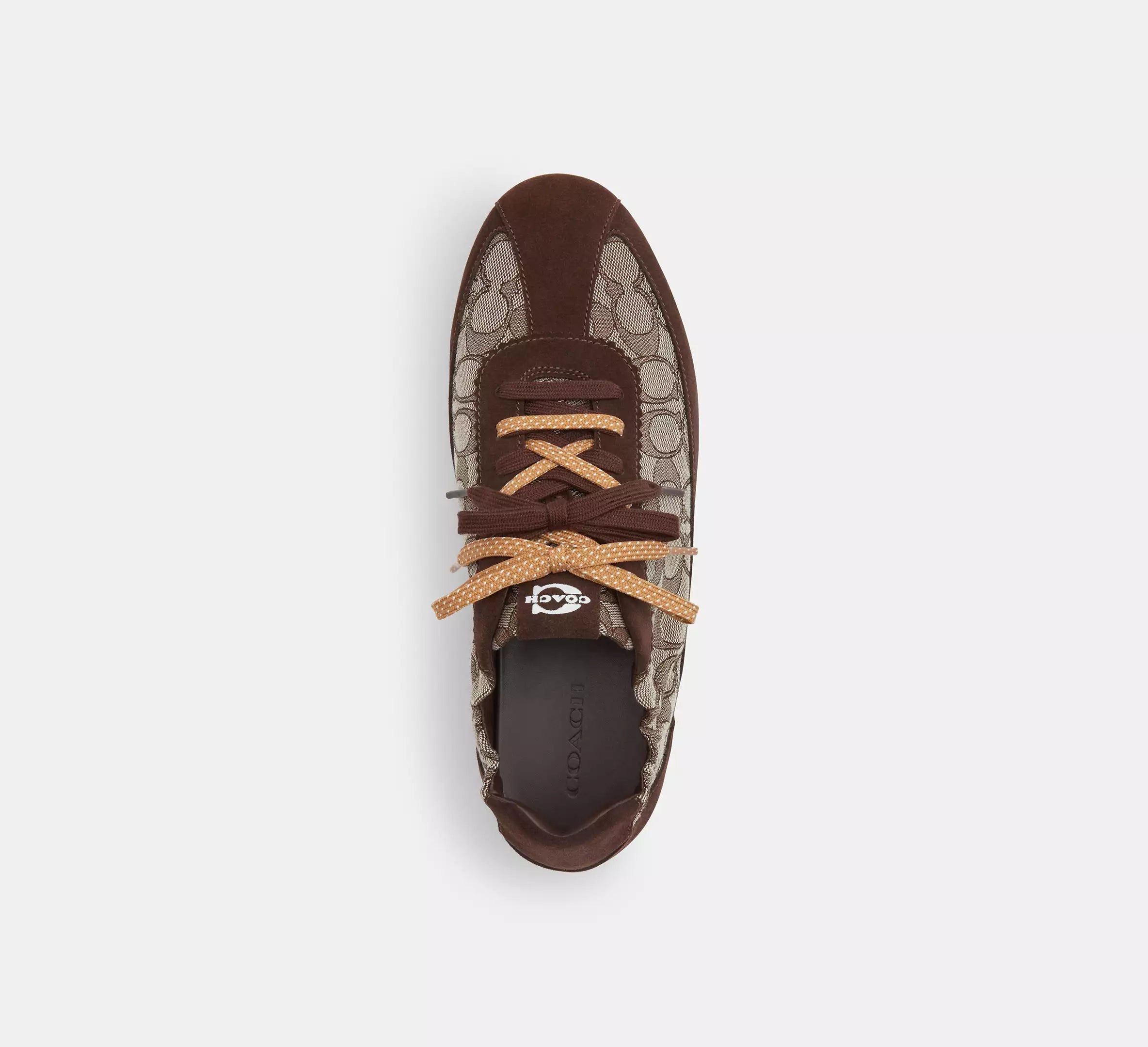 Maple/Oak