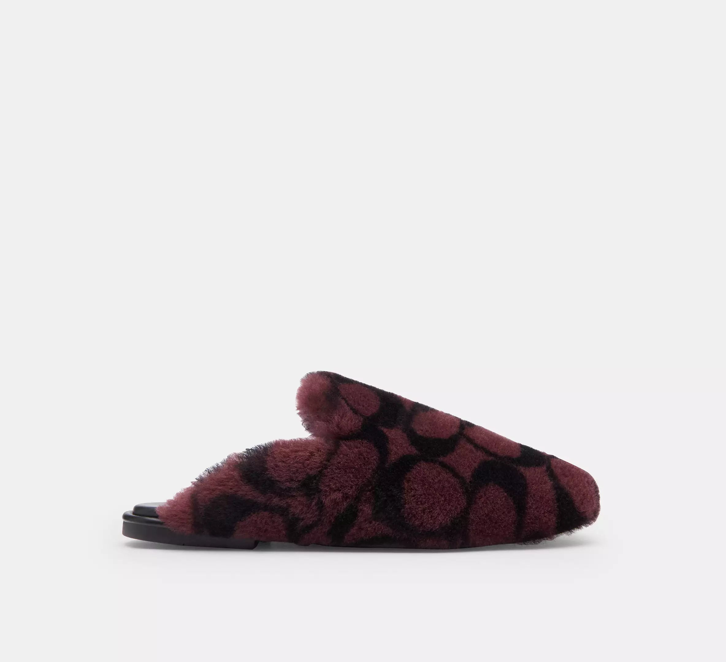 Merlot