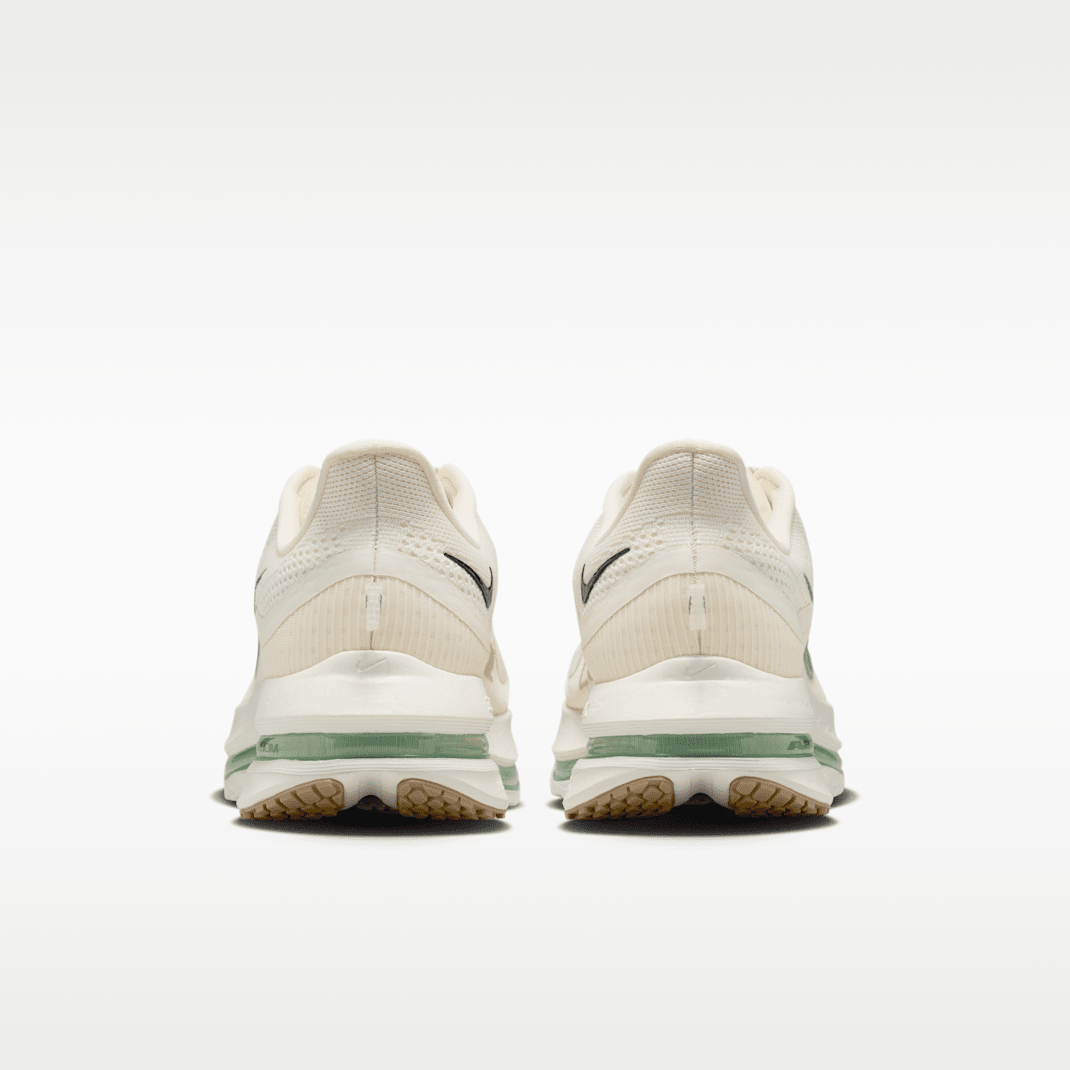 Pale Ivory/Jade Horizon/Spruce Aura/Black Spruce