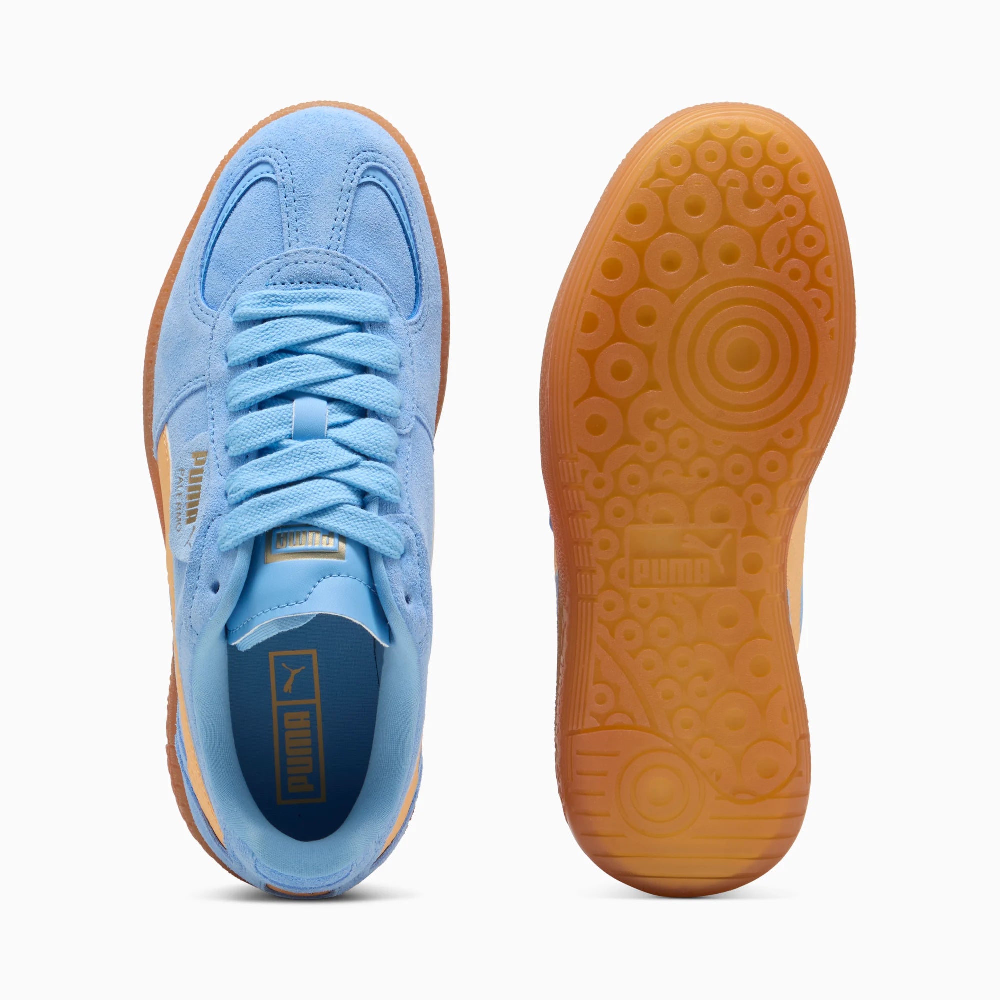 Team Light Blue-Almost Apricot