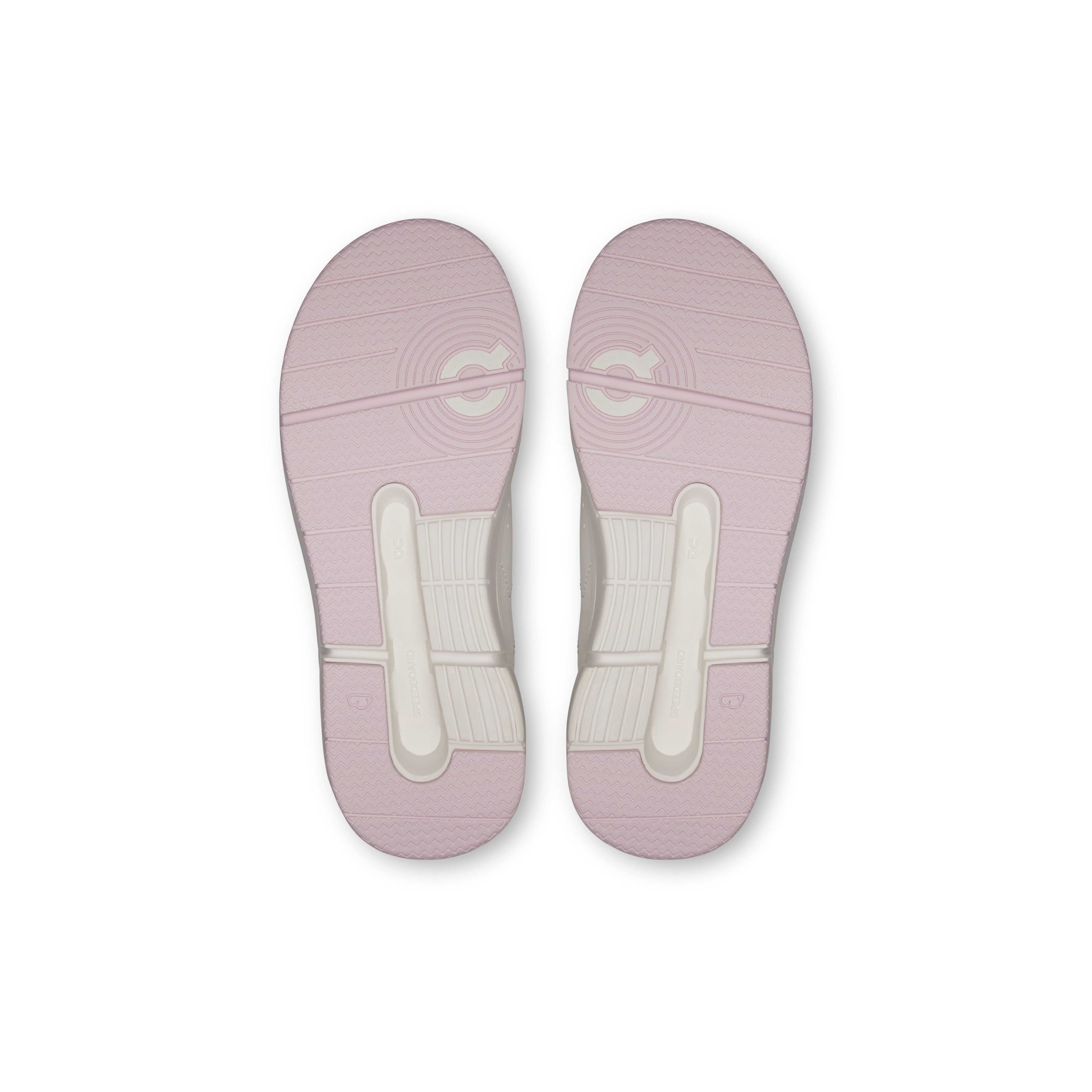Ivory | Orchid