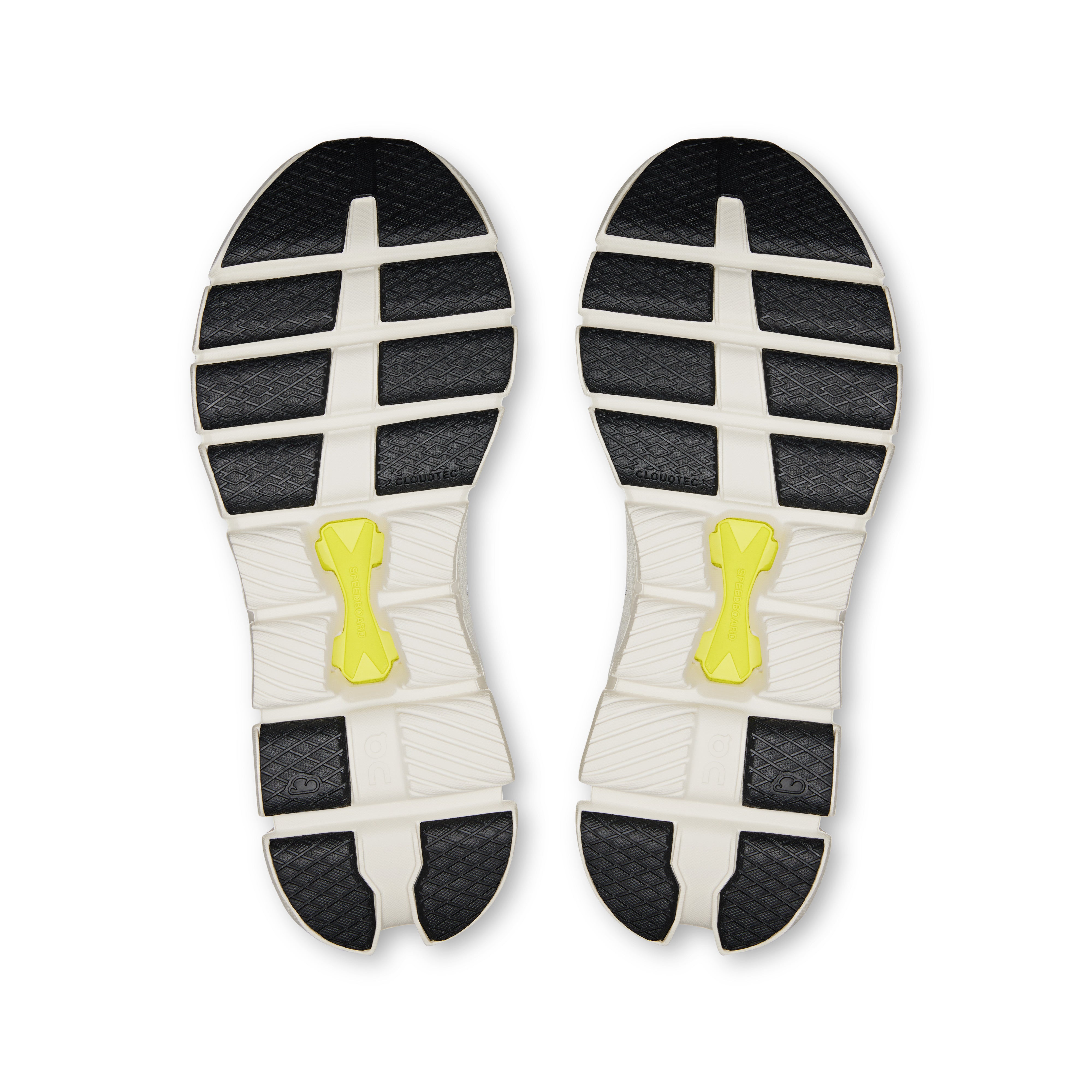 Ivory | Lime