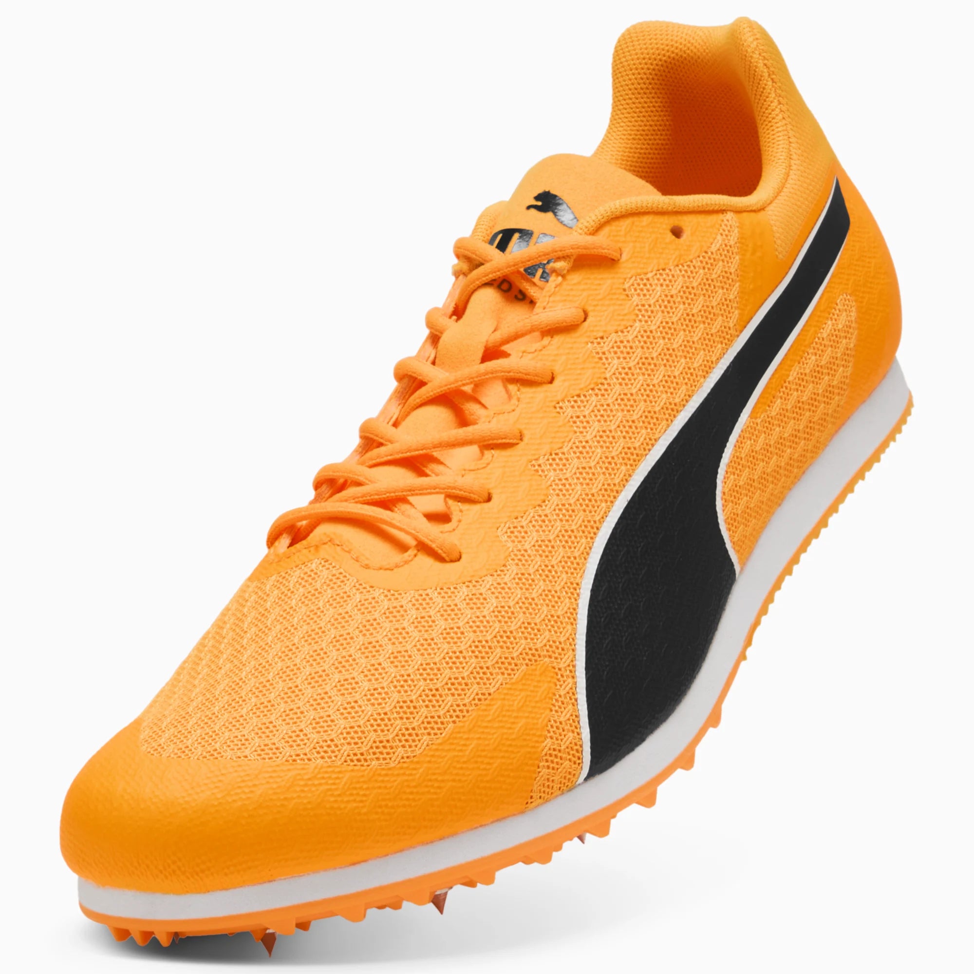 Sun Stream-PUMA Black-PUMA White