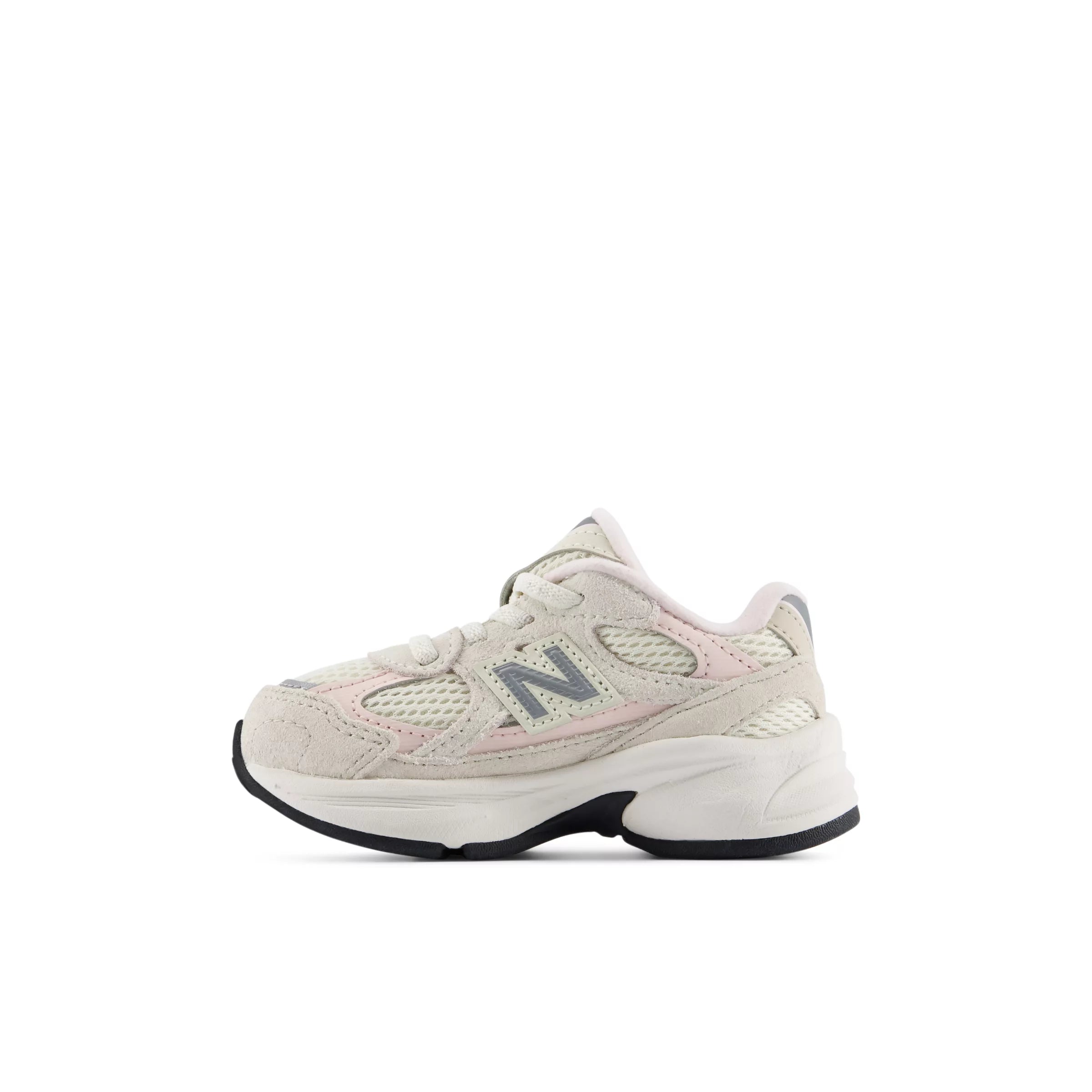 Turtledove With Shell Pink