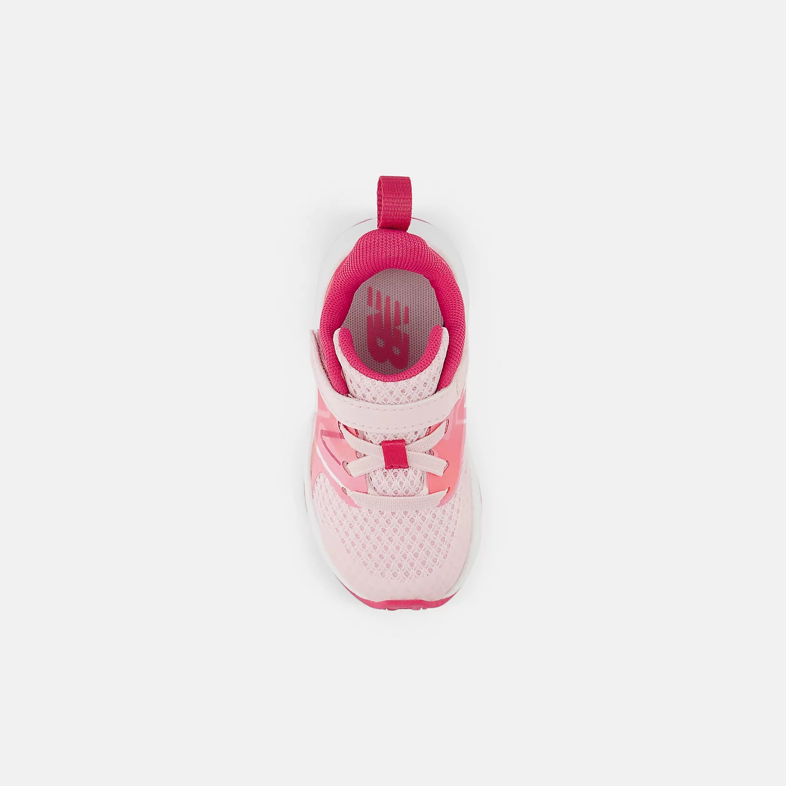 Rose Sugar With Carnival Pink And Signal Pink