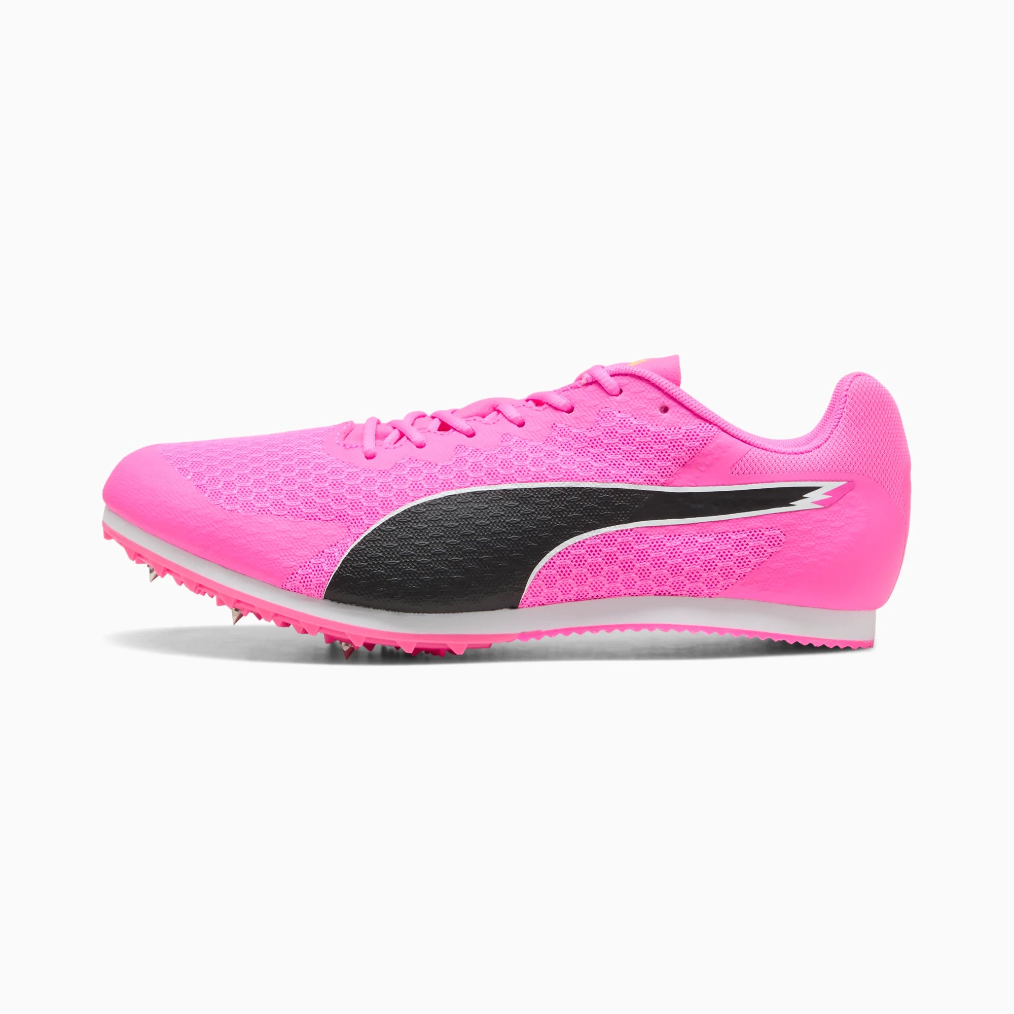Poison Pink-Sun Stream-PUMA Black