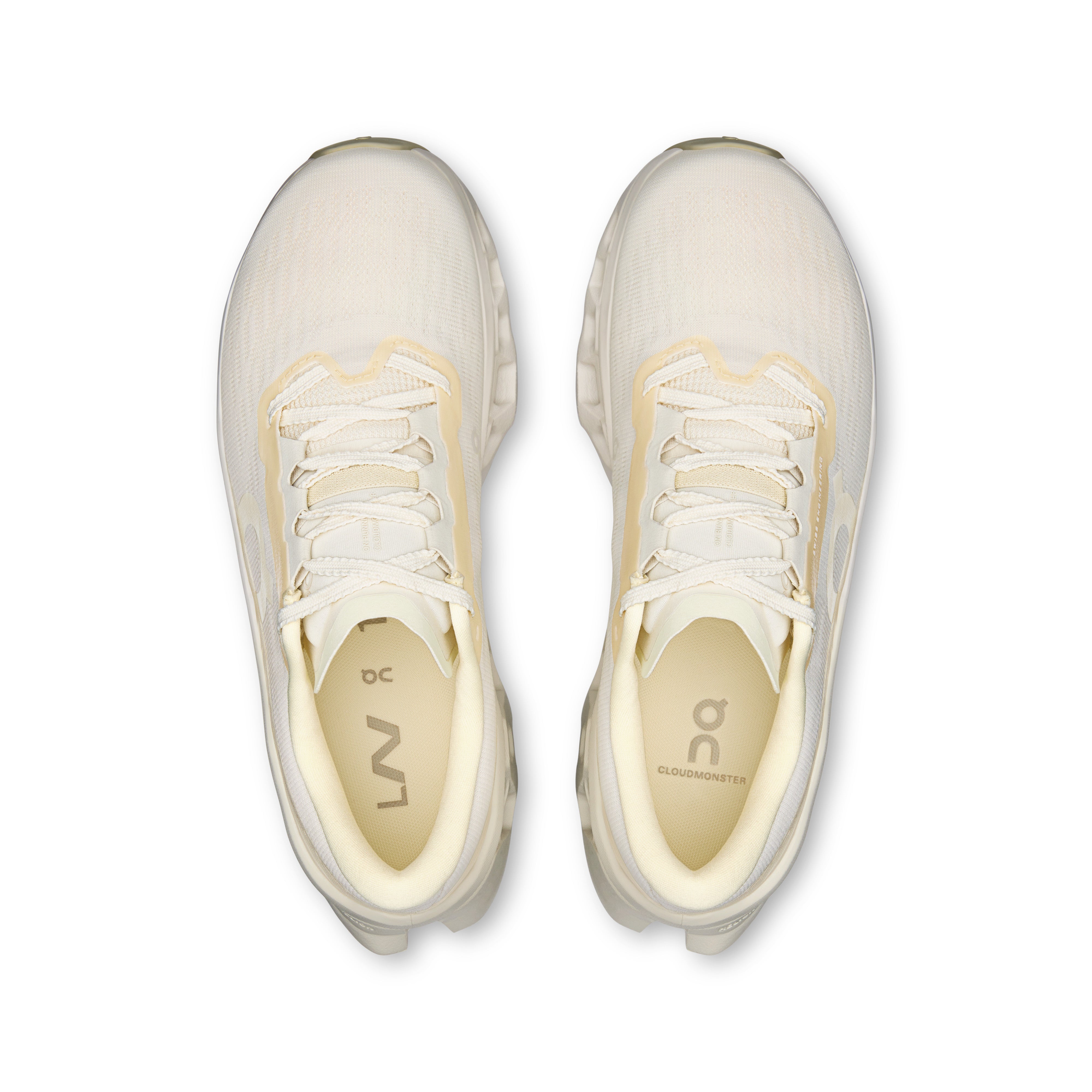 Ivory | Ray