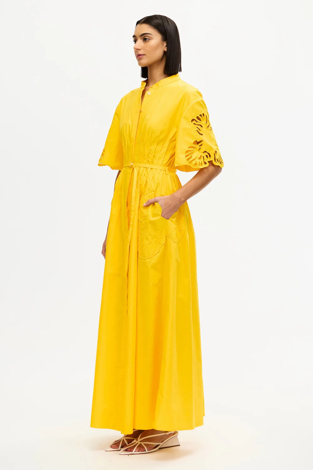 Daffodil