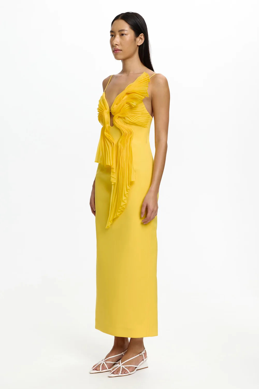 Daffodil
