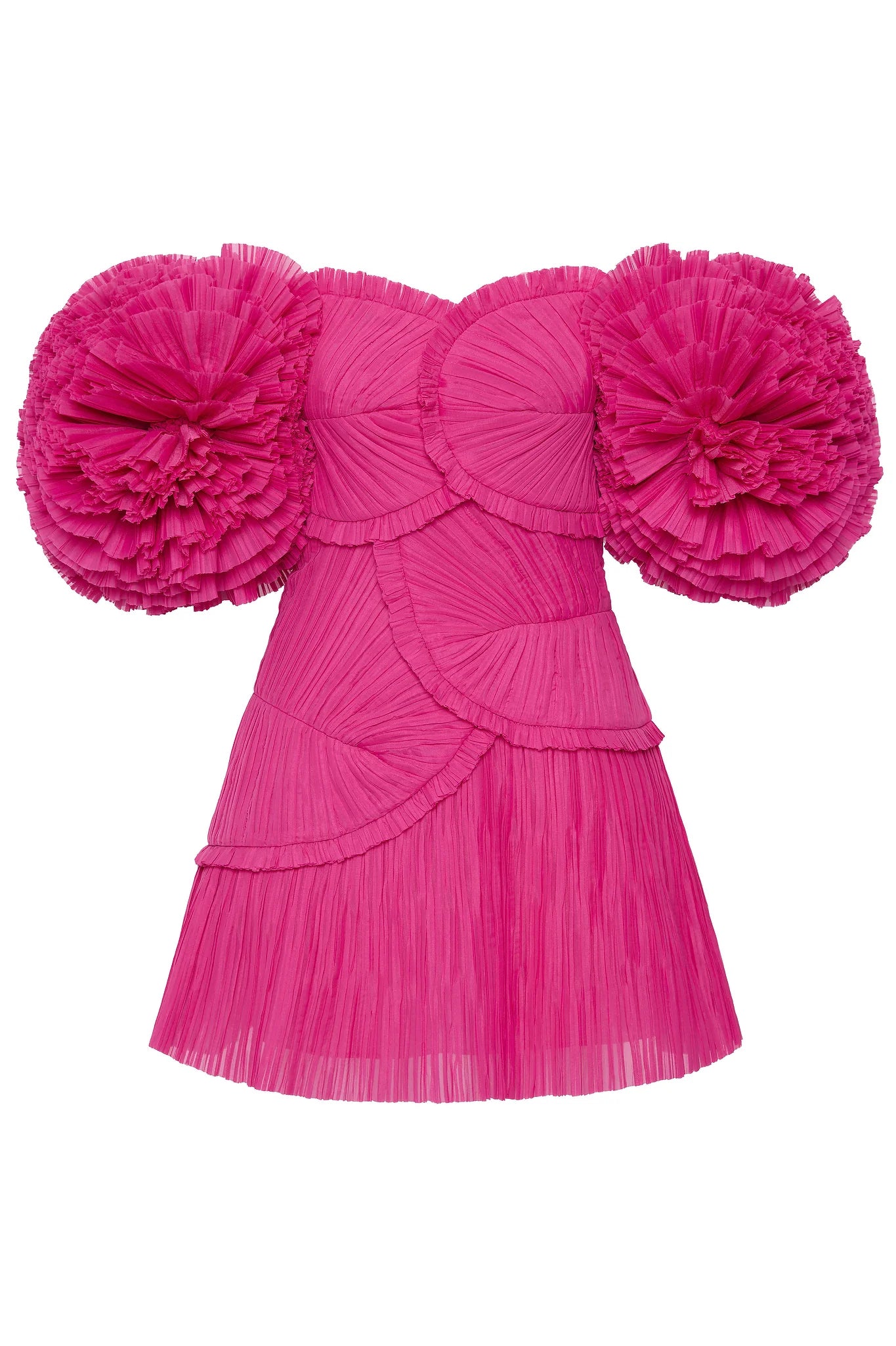 FUCHSIA ROSE