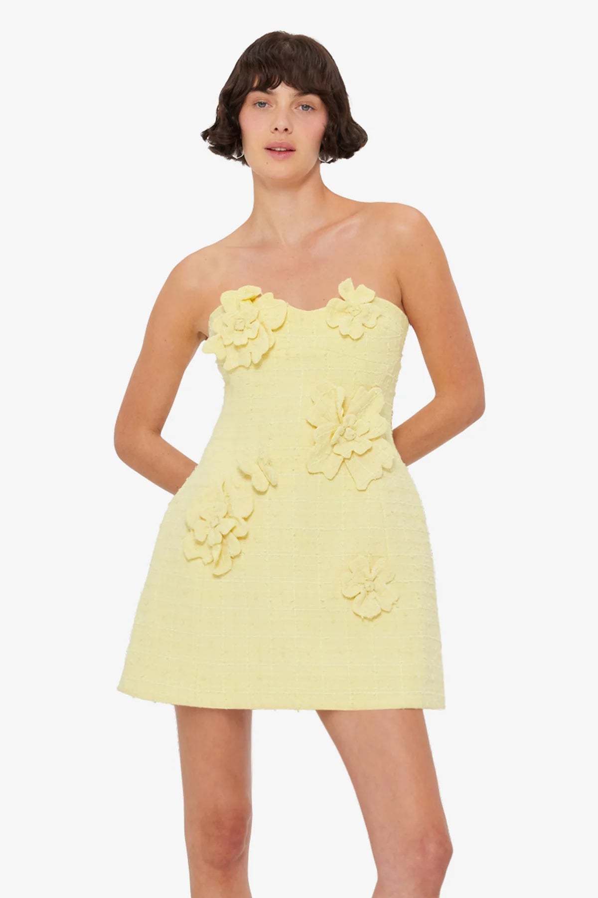 Sorbet Yellow
