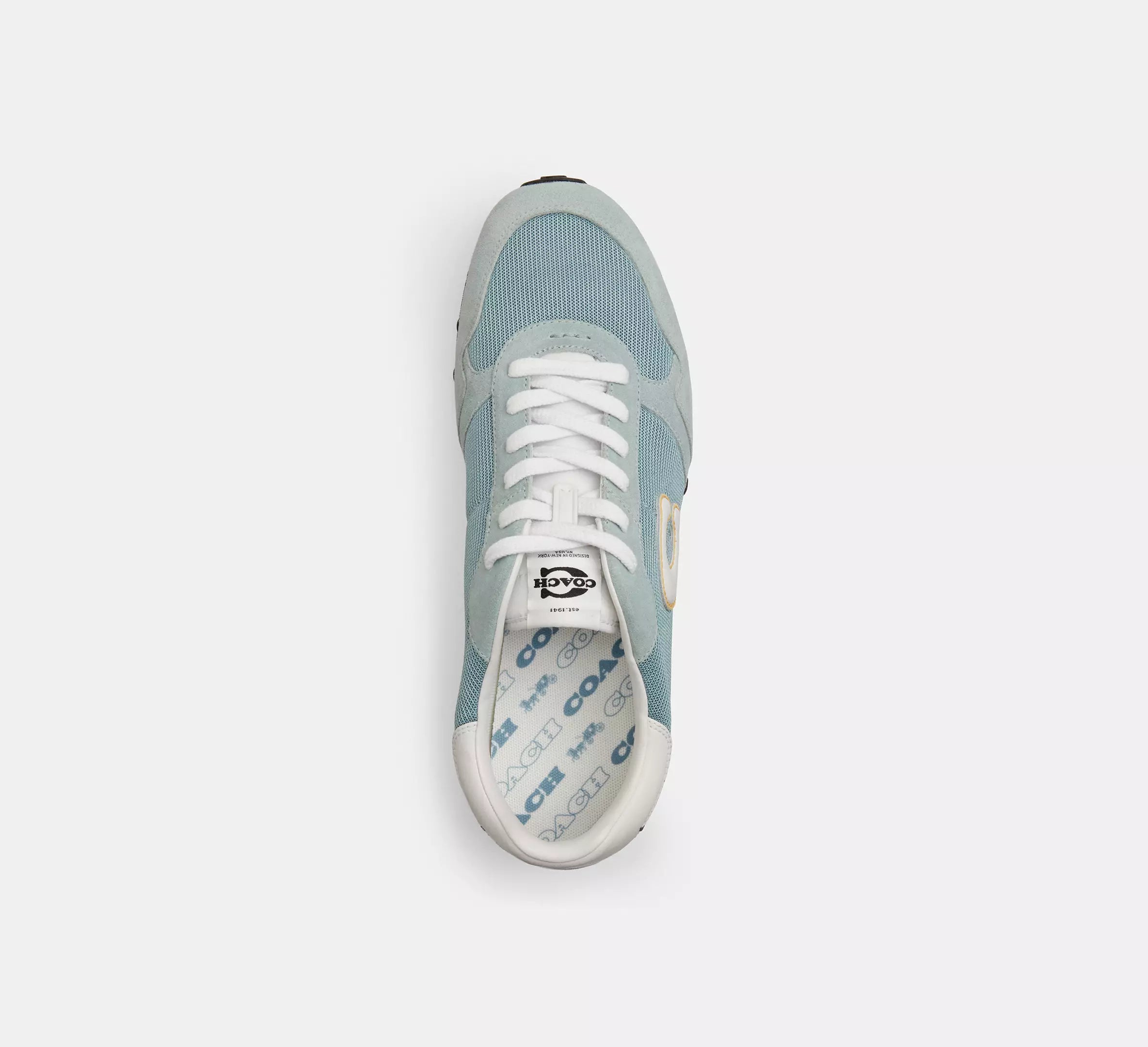 Sea Mist/Optic White