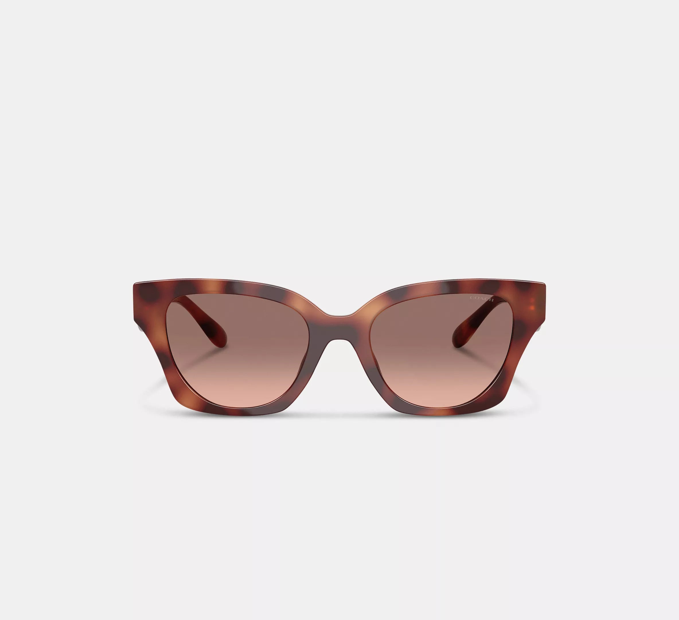 Tortoise Brown
