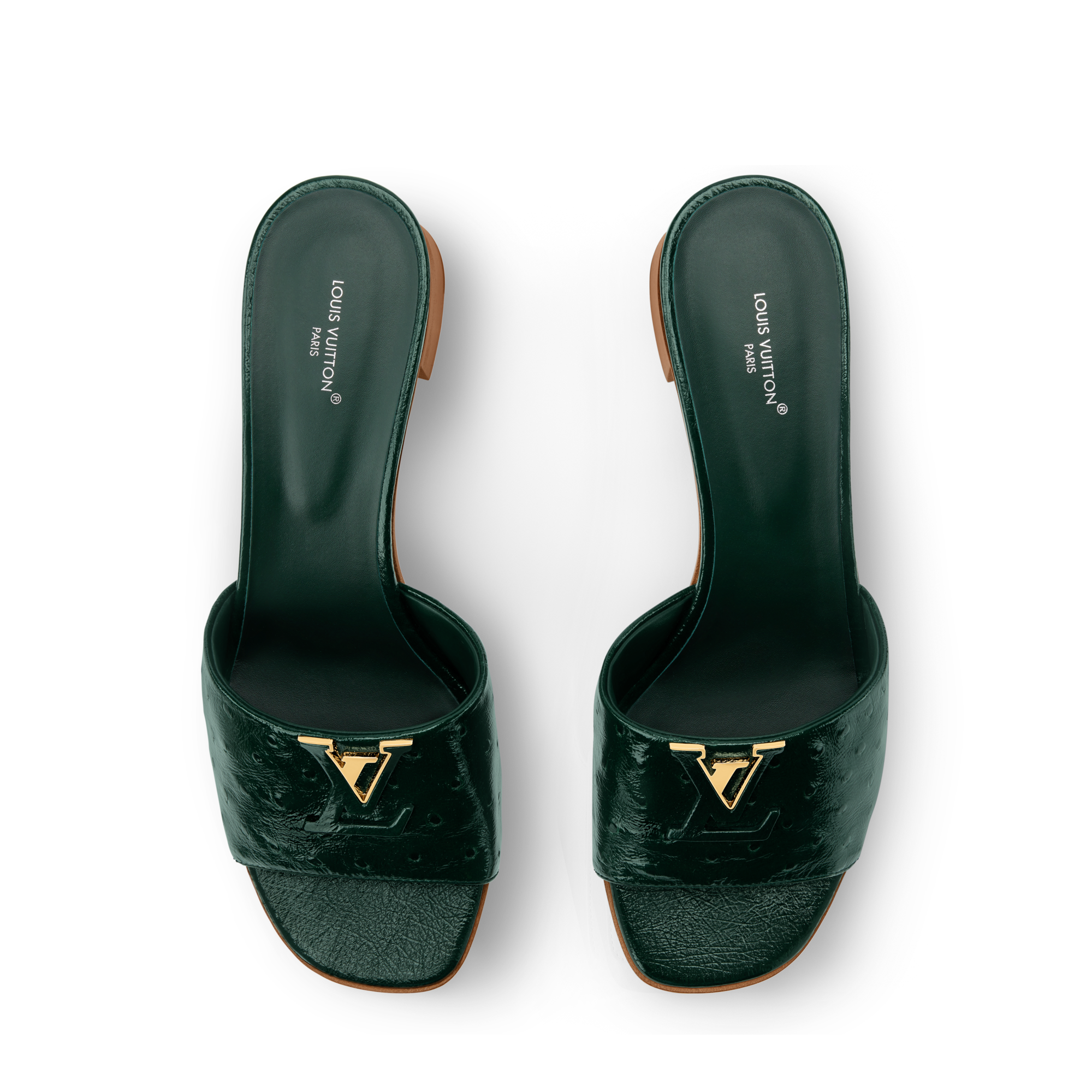 VERT FONCE