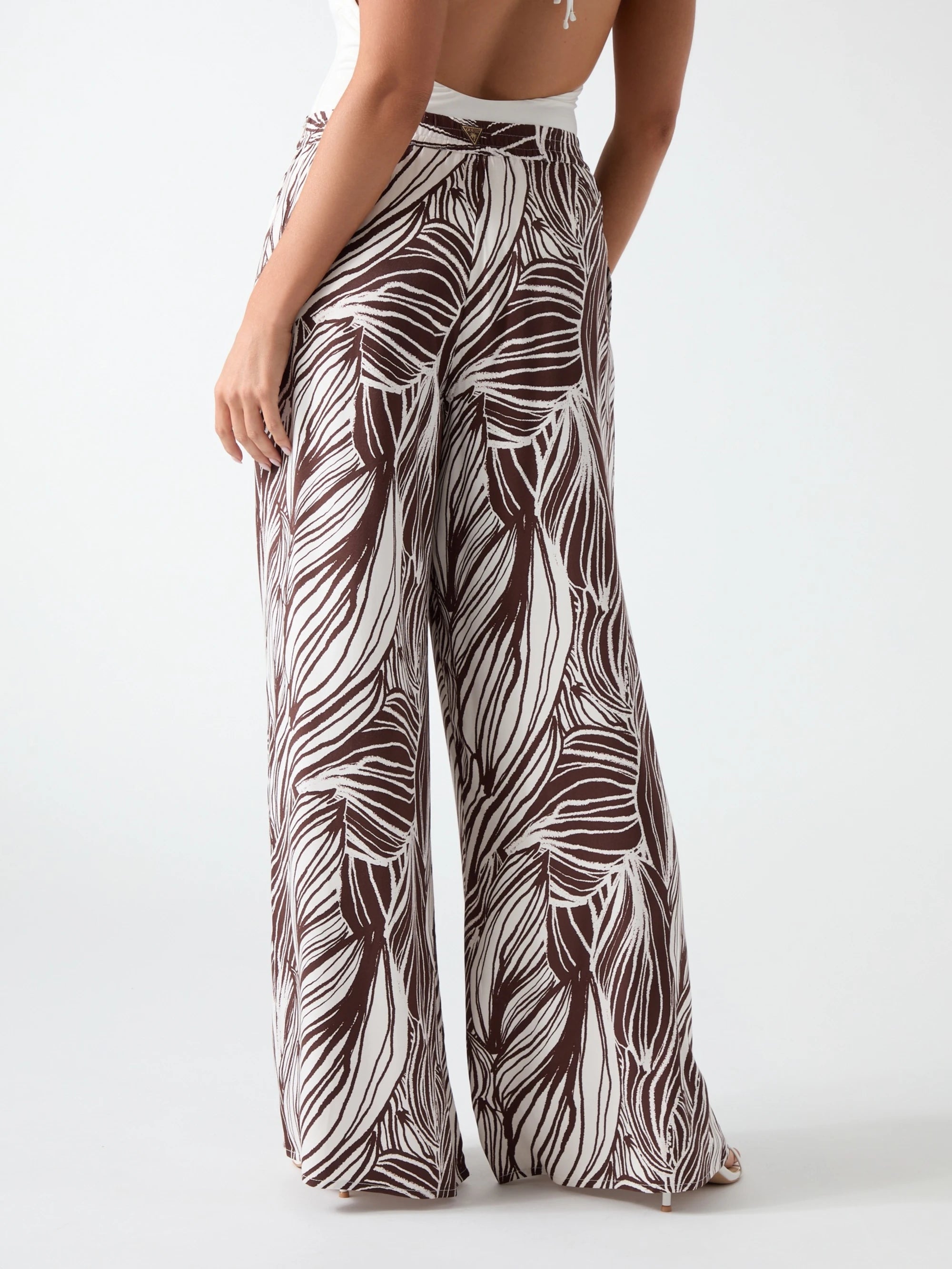 Zebra Leaf Small Coffe Ao