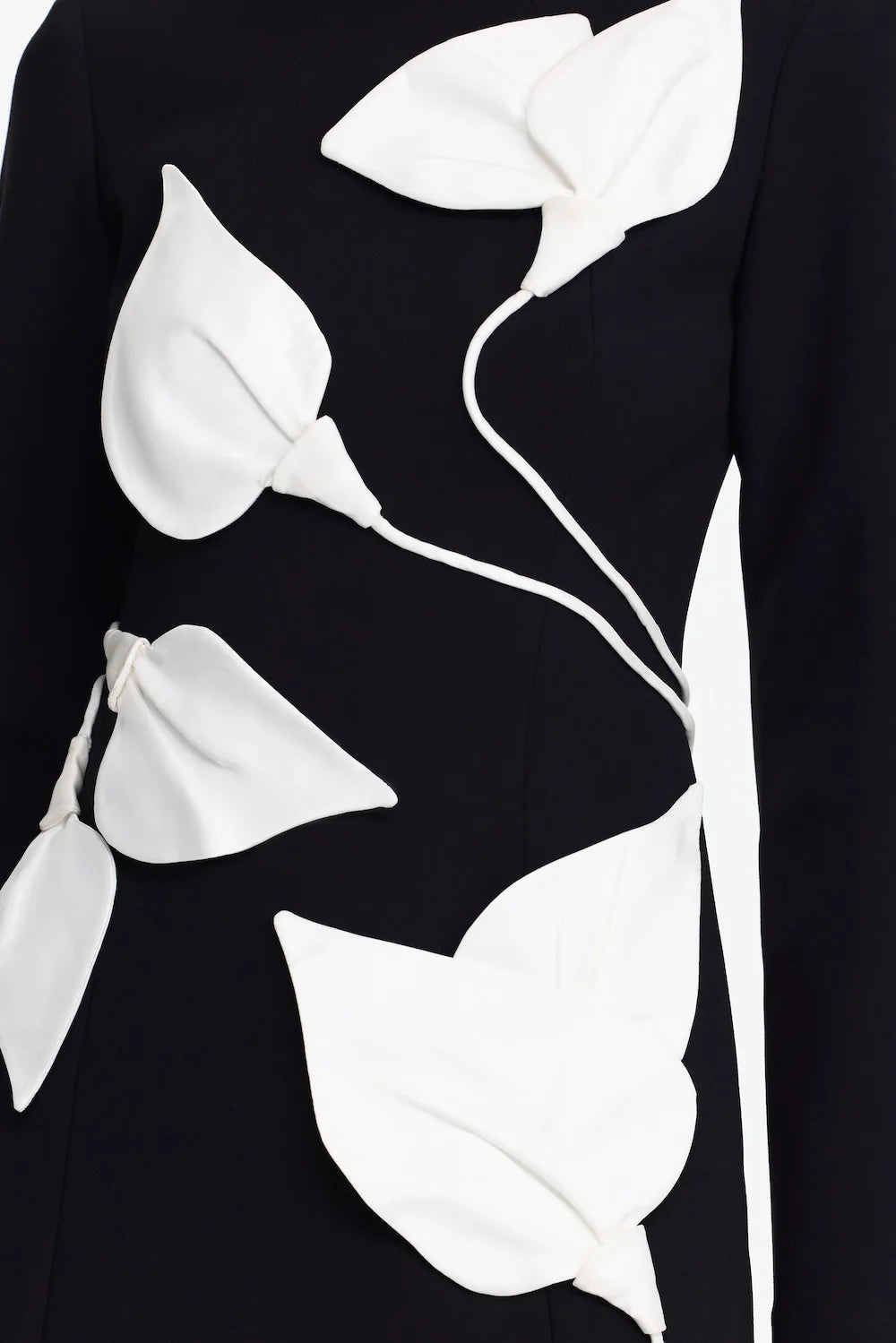 Black & Ivory