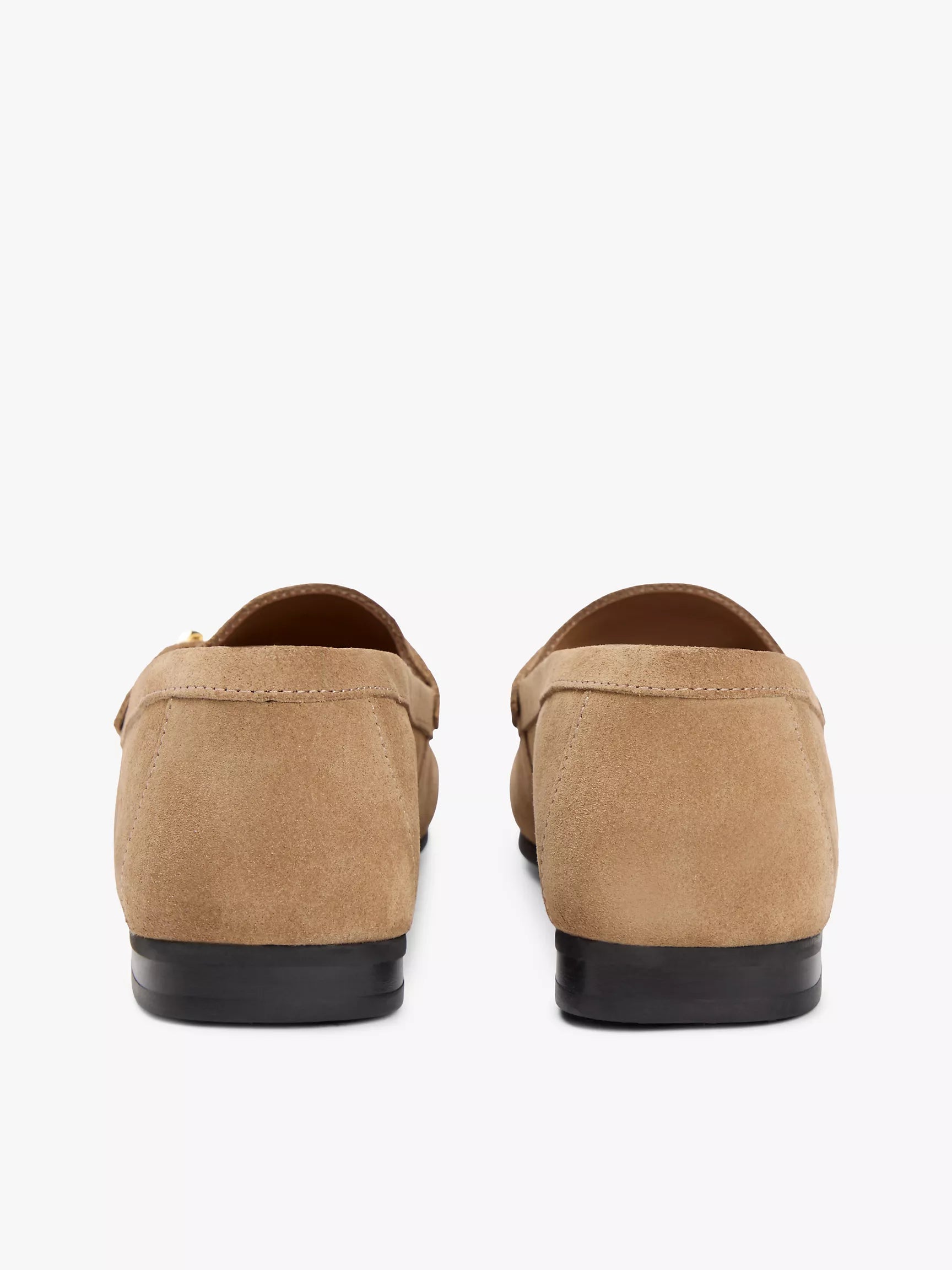 Safari Canvas