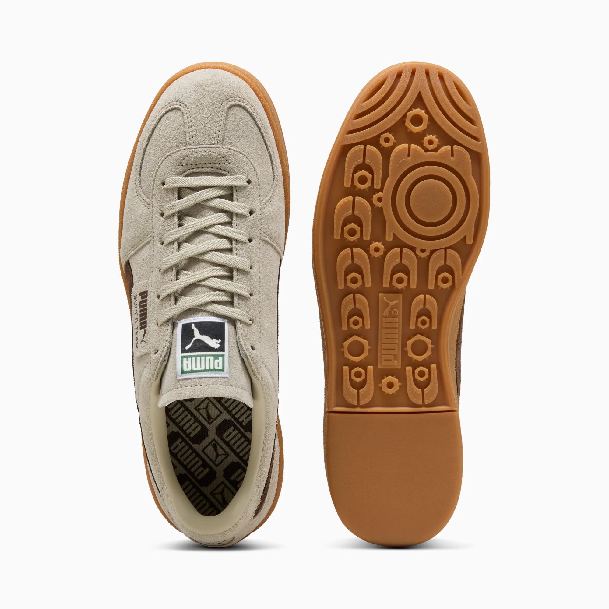Desert Dust-Chestnut Brown-Gum