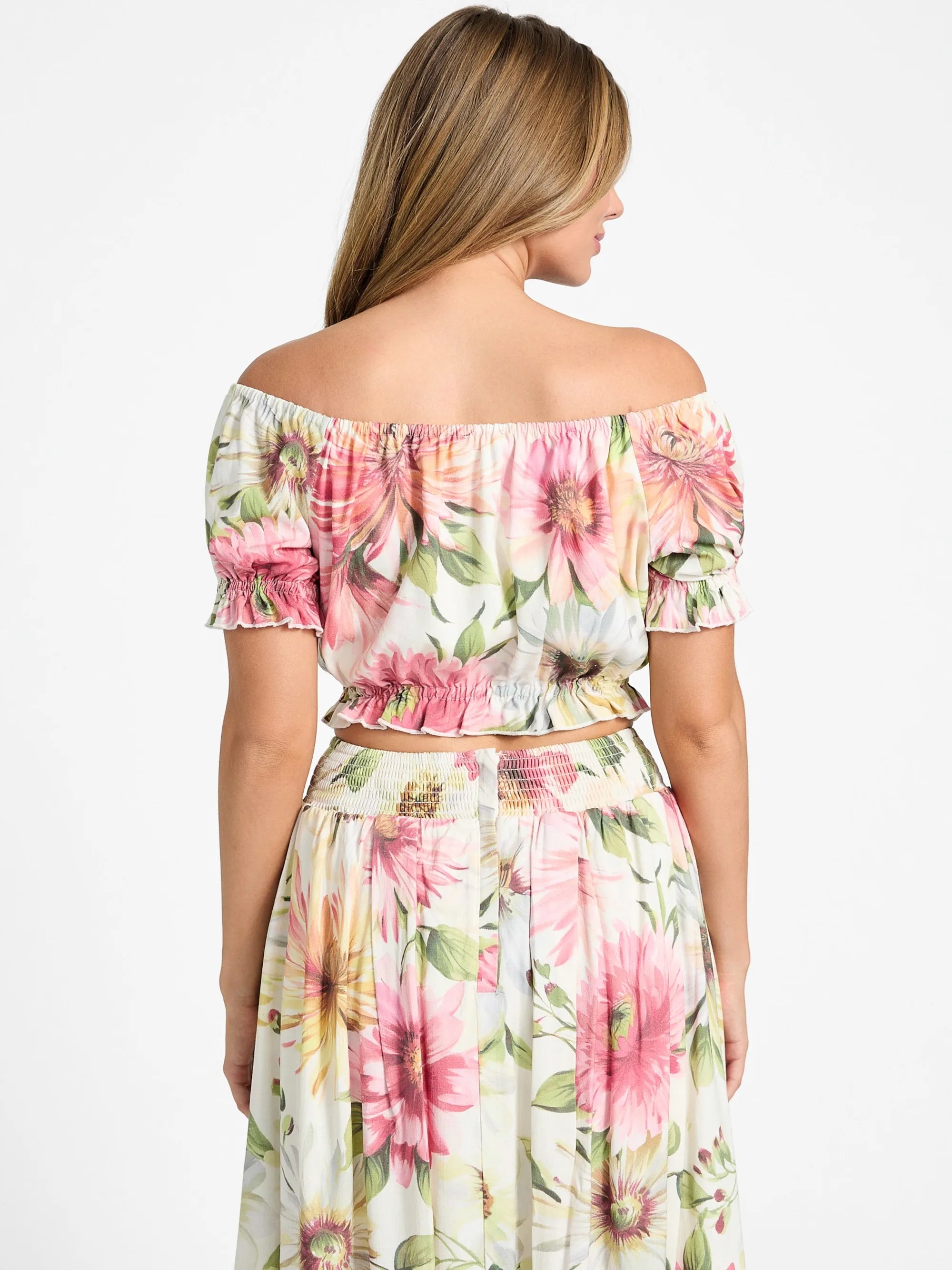 Painted Daisies Print
