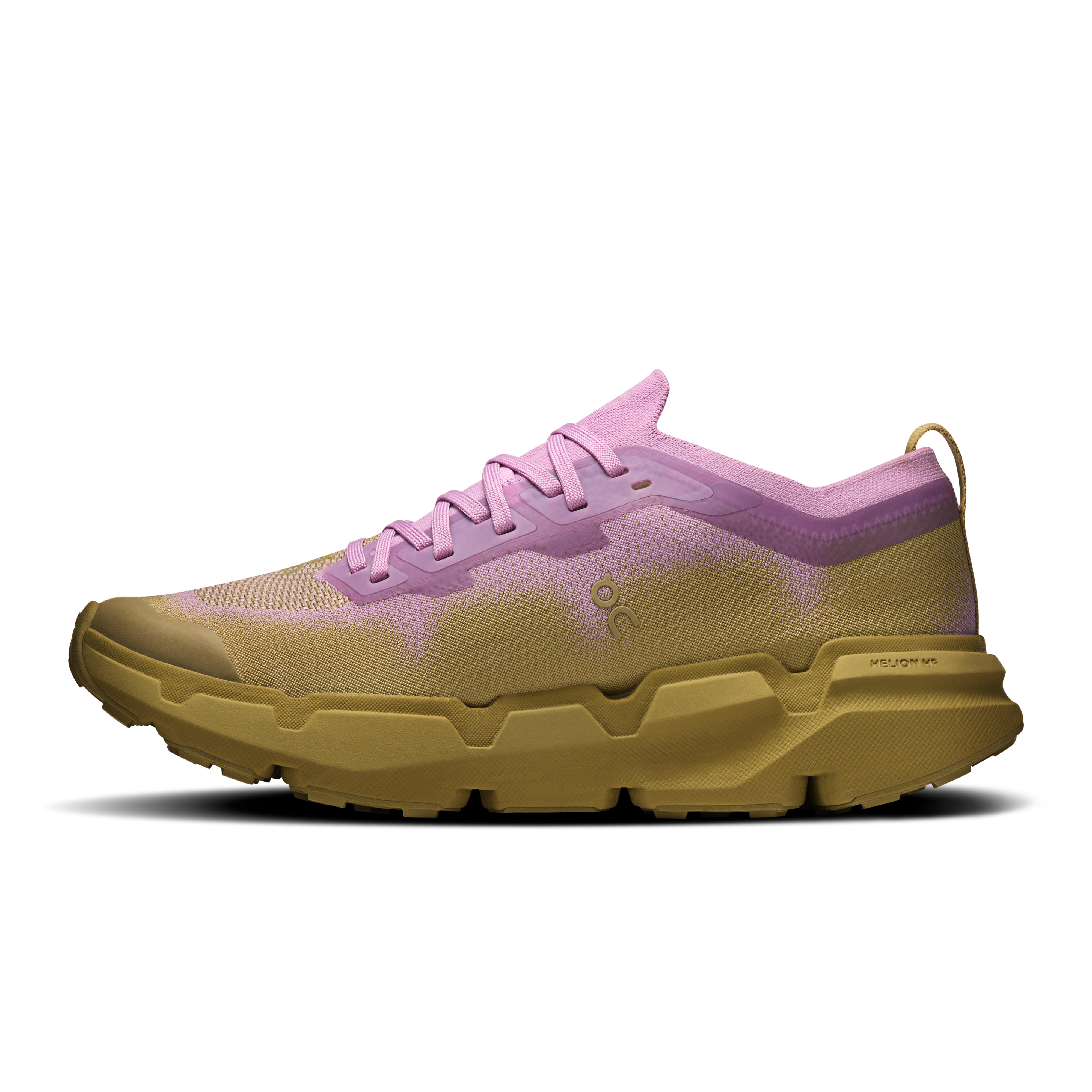Sakura | Safari