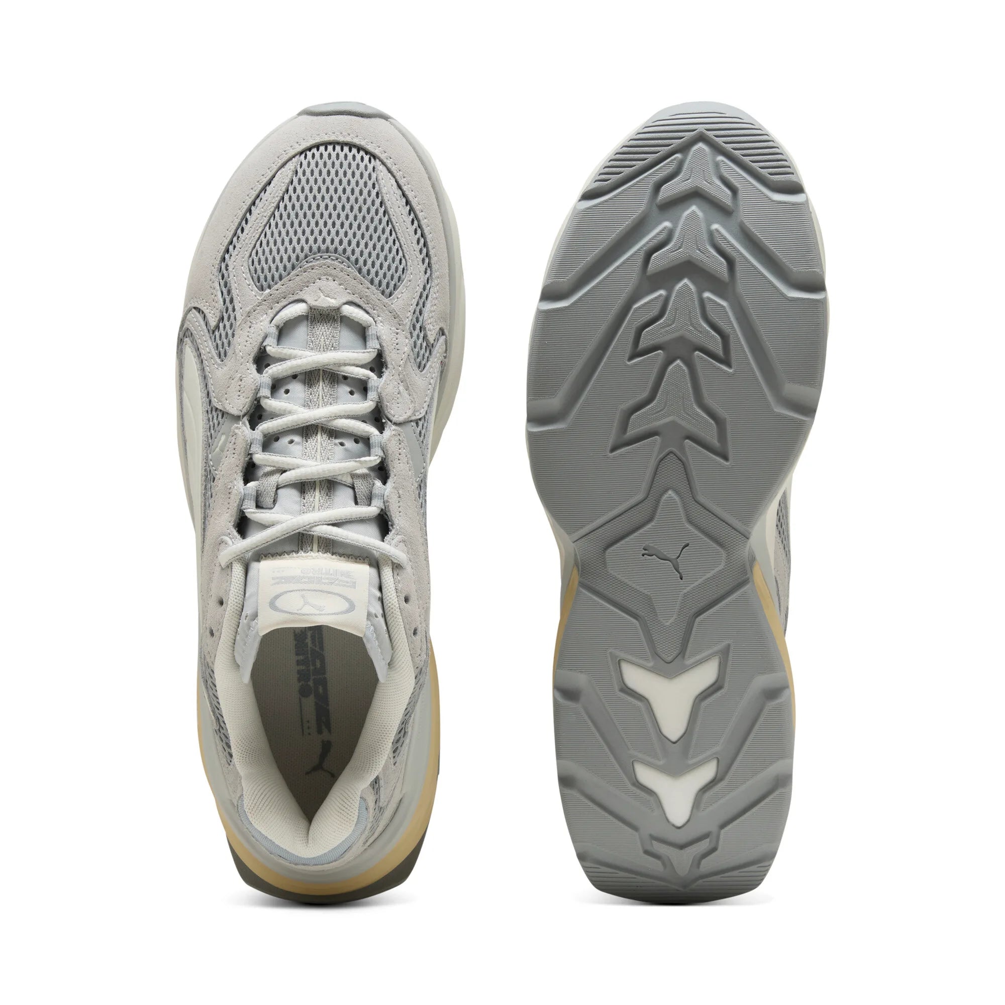 Cool Light Gray-Warm White