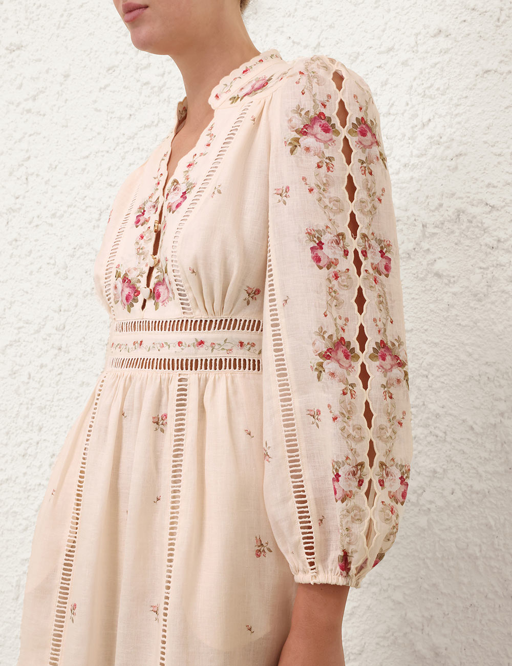 Cream Pink Rose