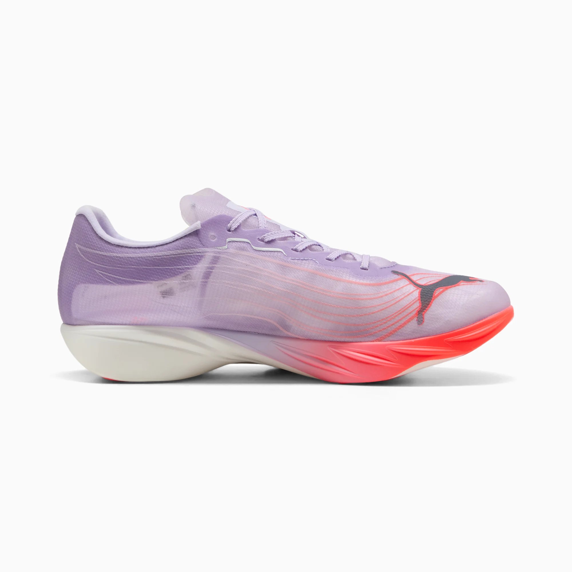 Light Lavender-Ultra Red