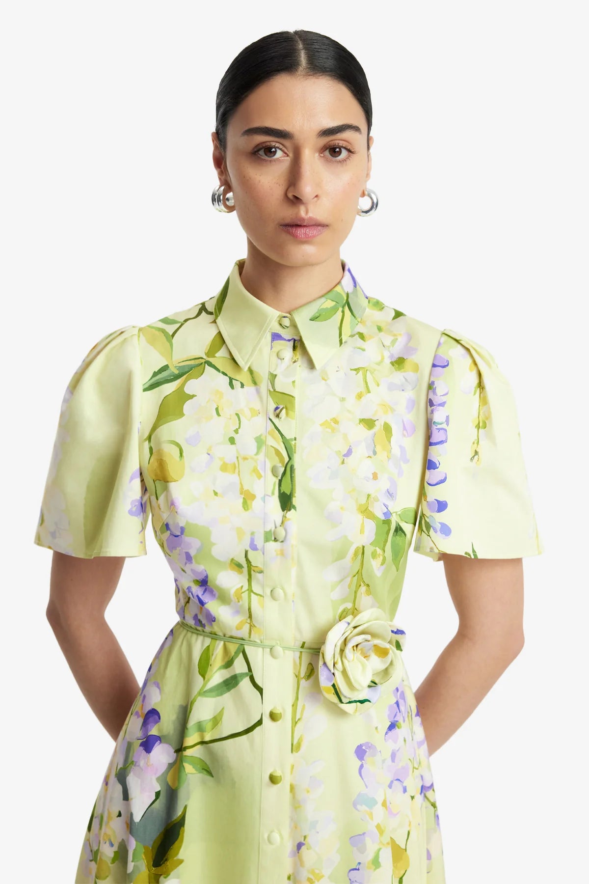 Wisteria Print