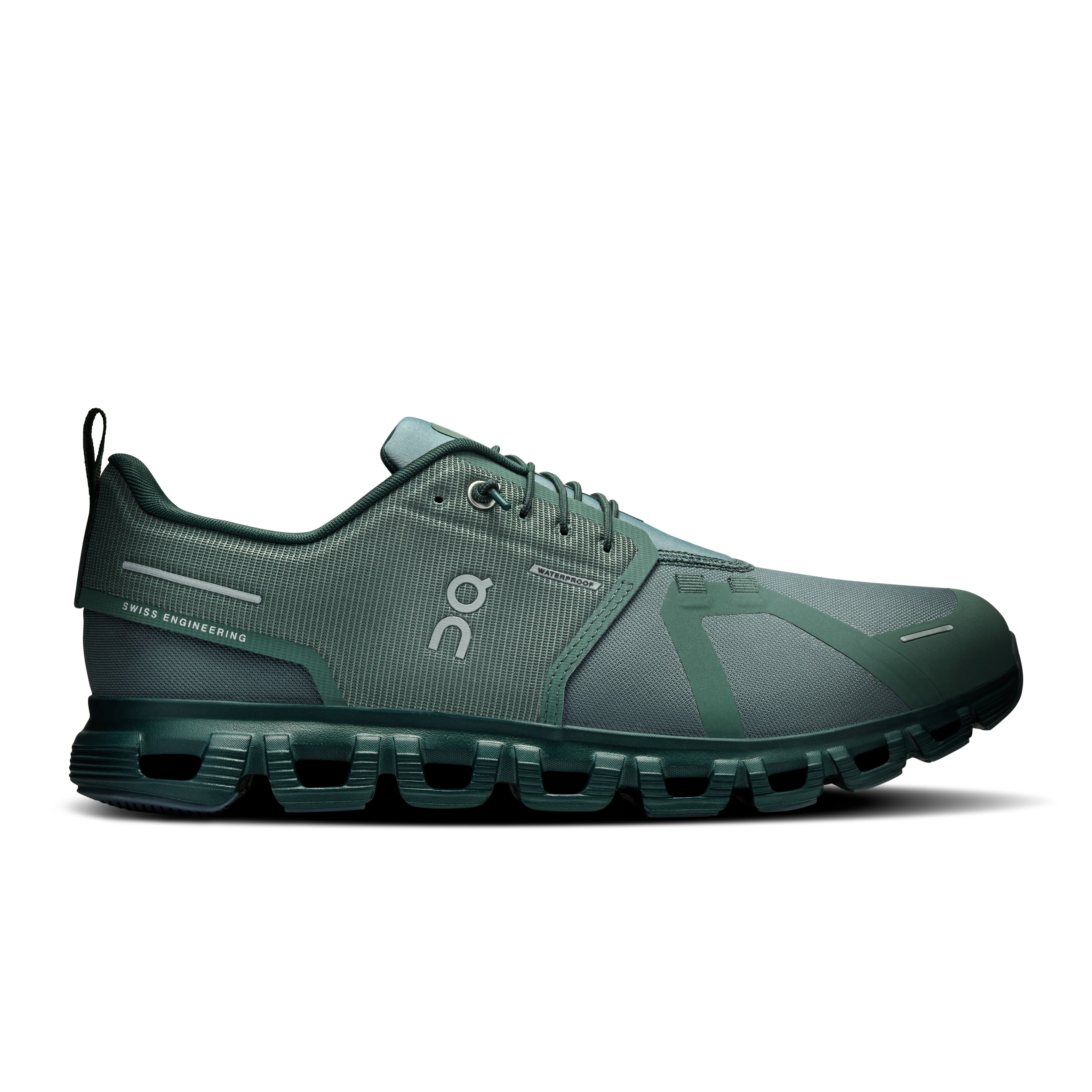 Olive | Evergreen