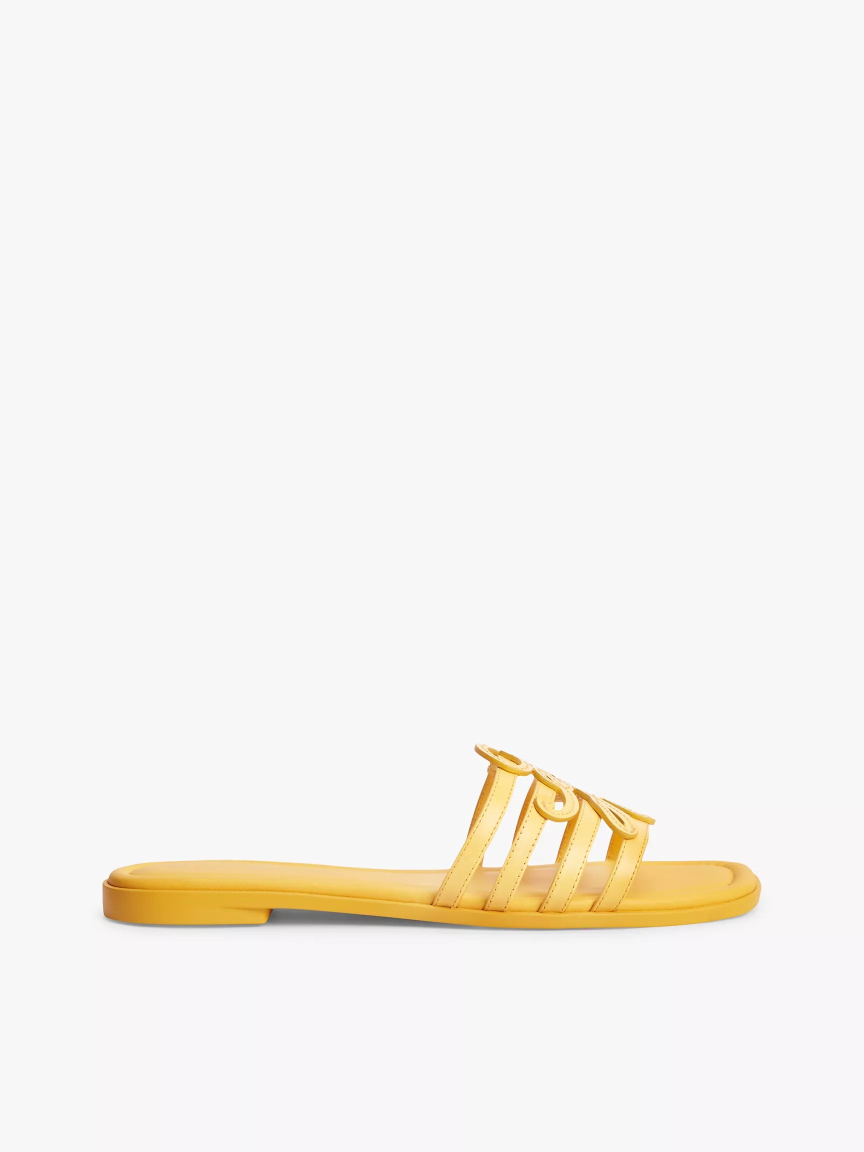 Yellow Arch