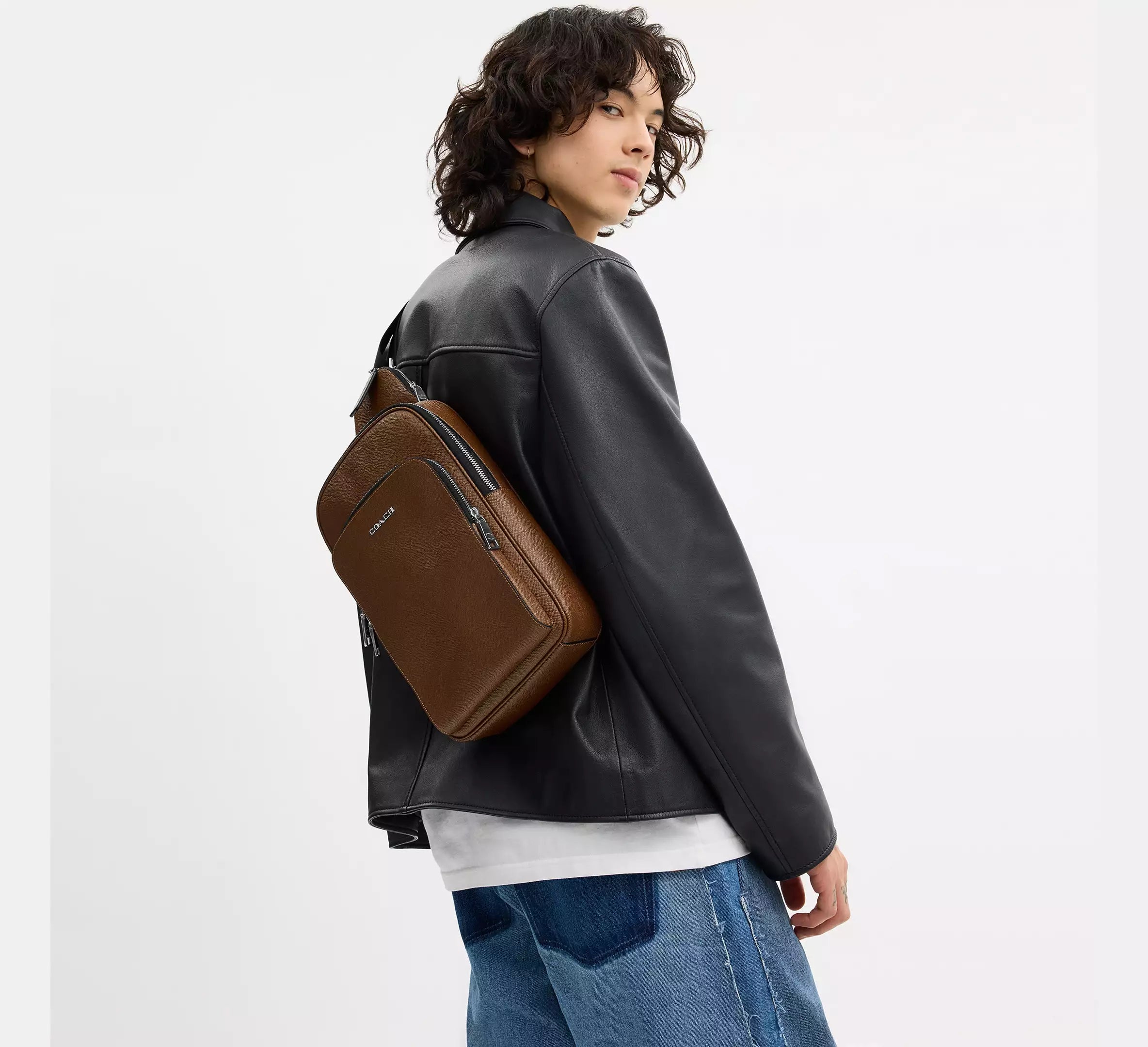 Silver/Chestnut