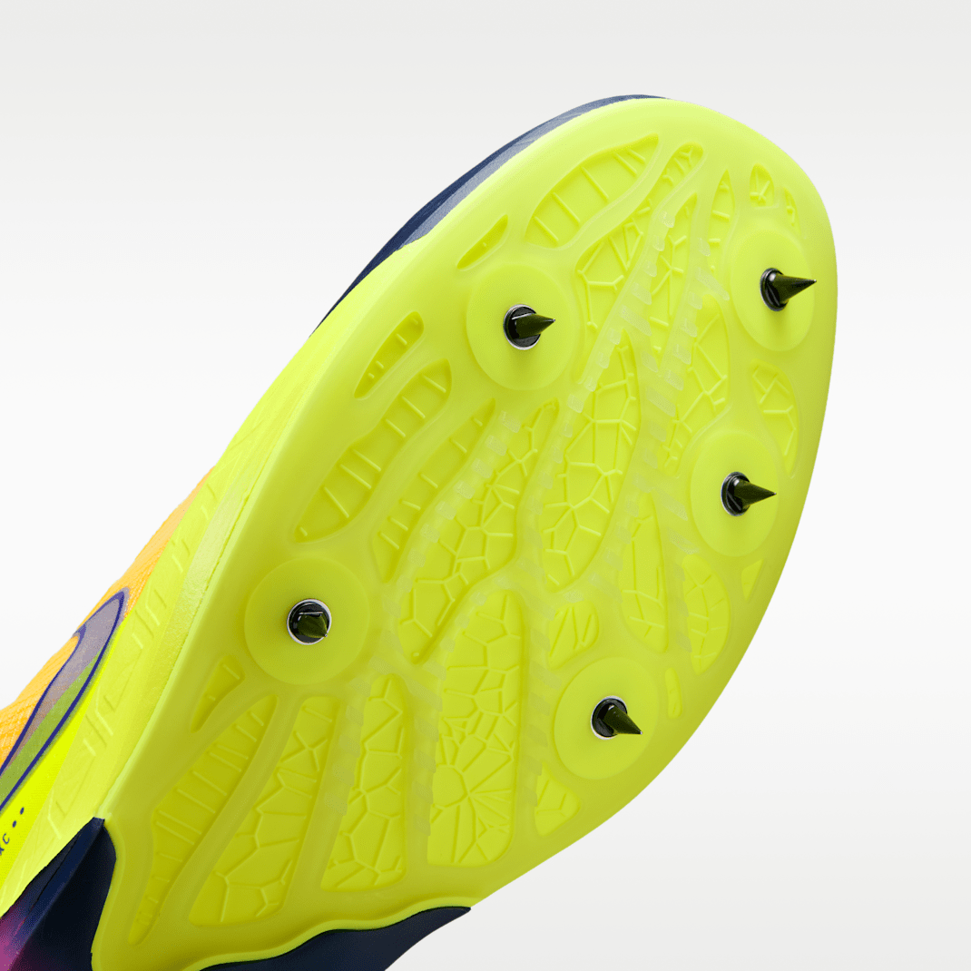 Citron Pulse/Blue Void/Hyper Violet/Indigo Burst
