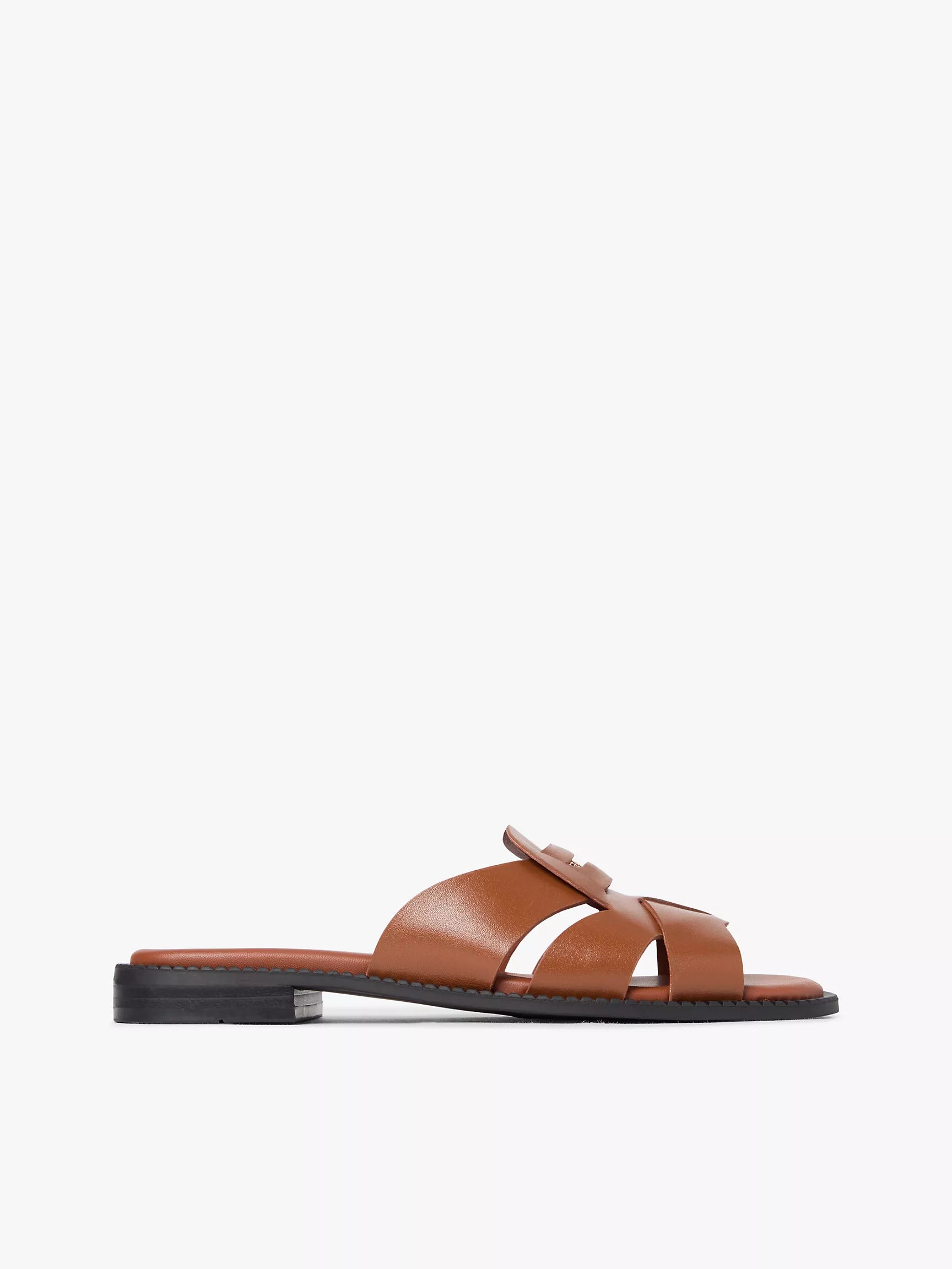 Warm Bronze