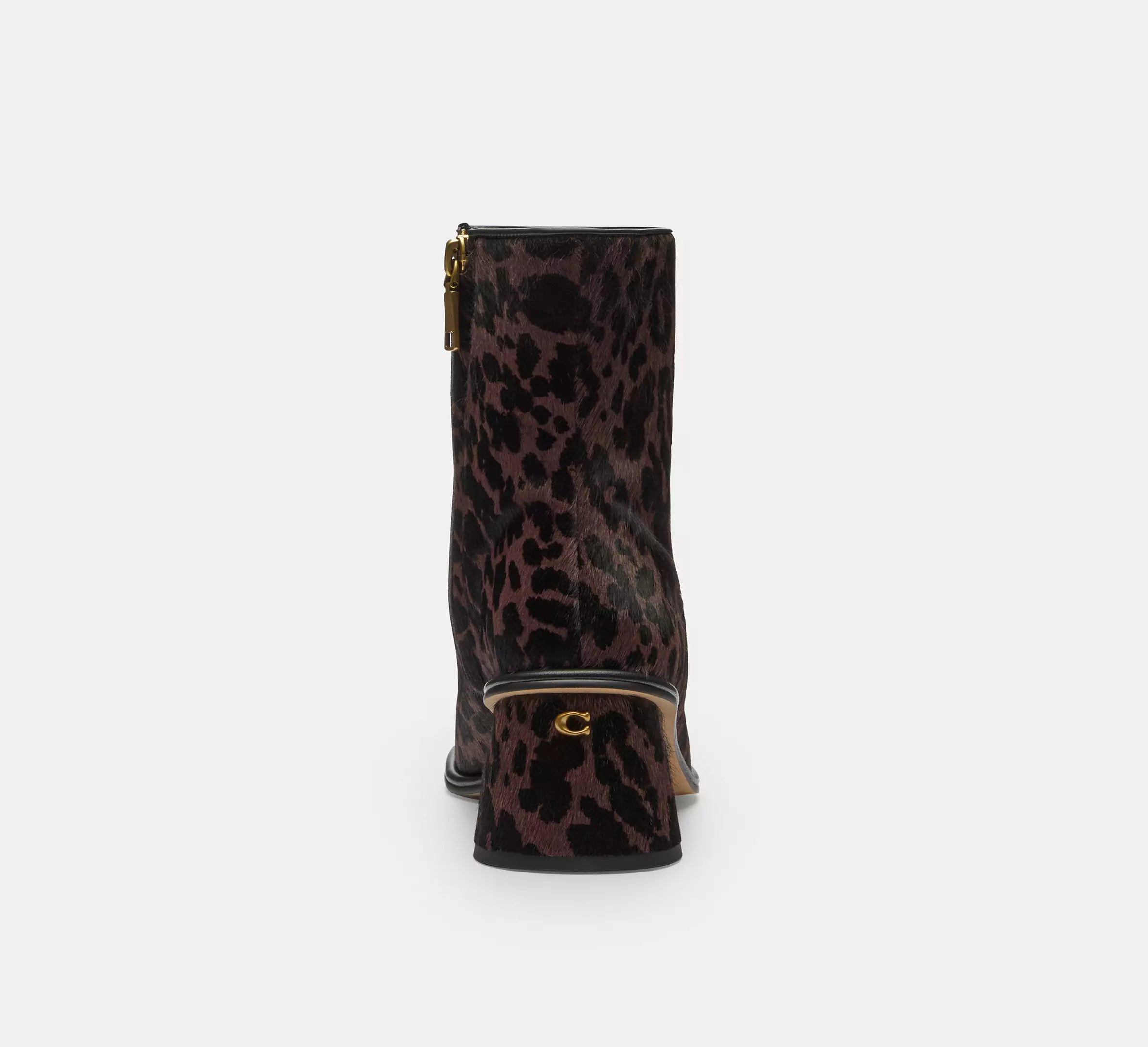 Dark Leopard
