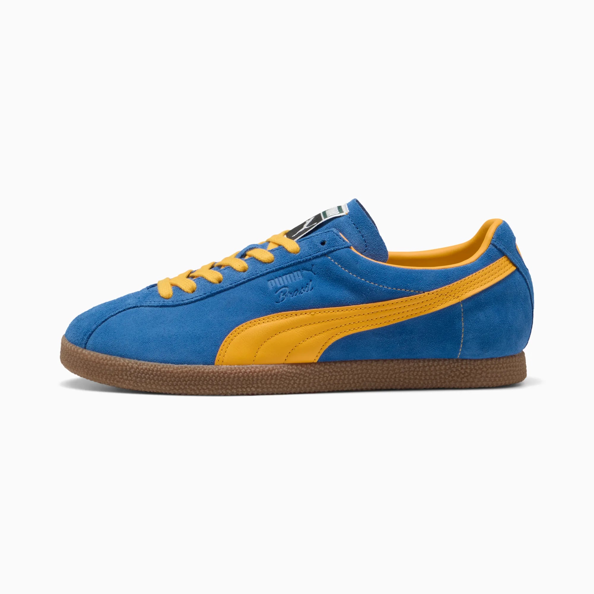 Vivid Blue-Tangerine