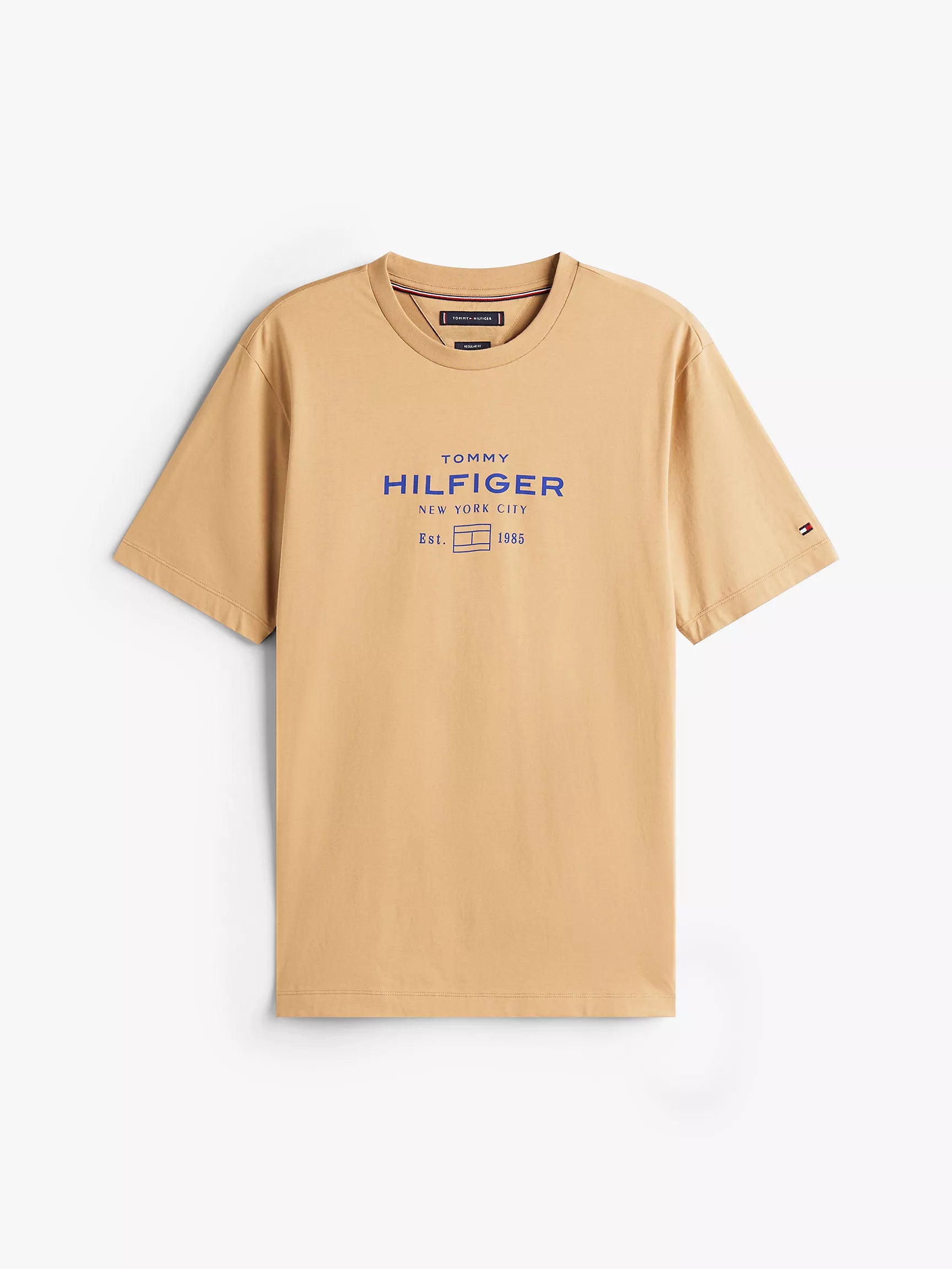 Timeless Camel