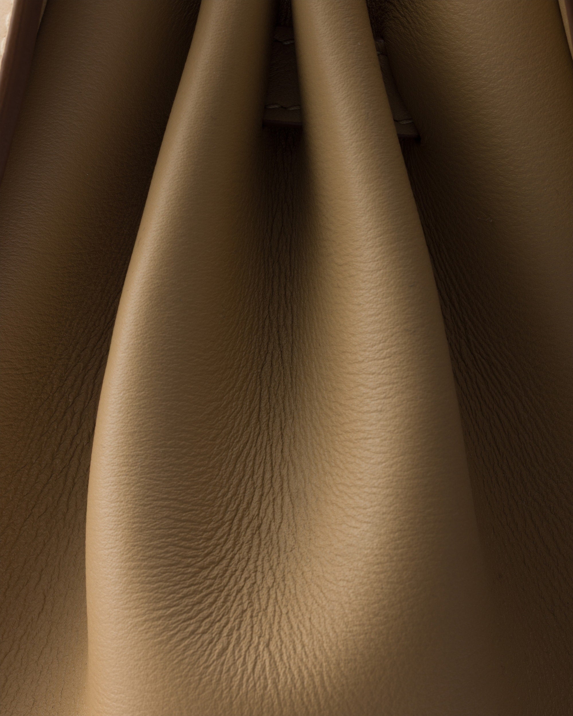 Beige Arena